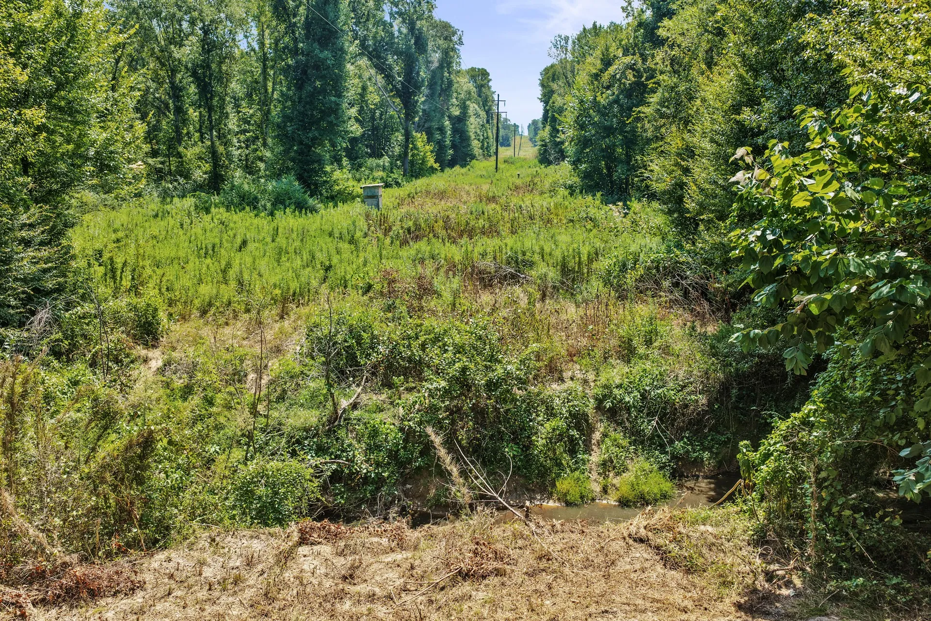 Unimproved Land For Sale in Camp County , Lot 2 County Road 1240, Pittsburg, Texas 75686, 0, 0, Garage spaces, 0 Sqft, built in 0, Price $90,950, mls#21355730, Real Estate Agent in Pittsburg, Homes For Sale in Camp county, Homes For Sale in Pittsburg, Realtor in Pittsburg Texas, Real Estate Brokerage Independent Realty Texas, Luminita Cordes Realtor