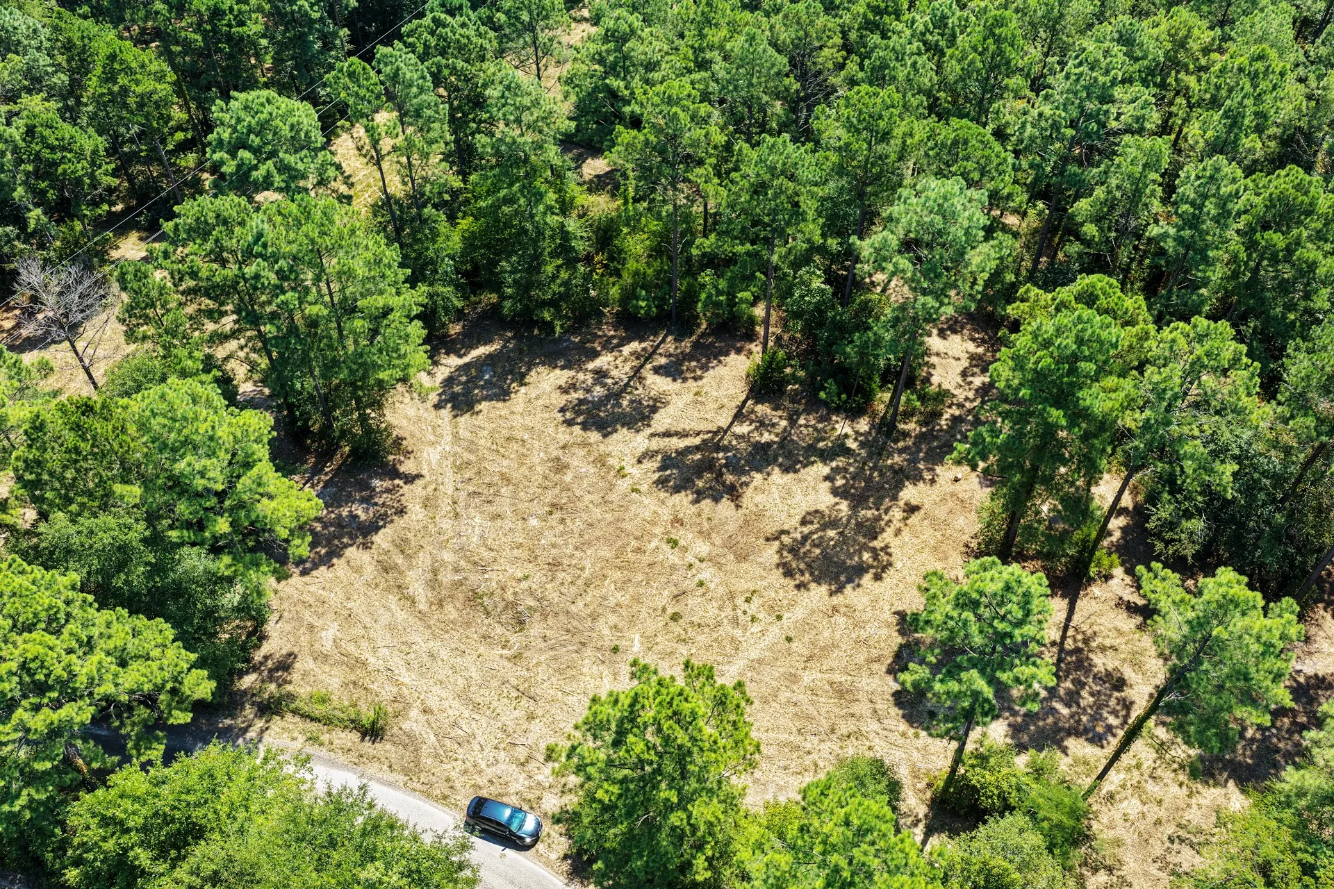 Unimproved Land For Sale in Camp County , Lot 2 County Road 1240, Pittsburg, Texas 75686, 0, 0, Garage spaces, 0 Sqft, built in 0, Price $90,950, mls#21355730, Real Estate Agent in Pittsburg, Homes For Sale in Camp county, Homes For Sale in Pittsburg, Realtor in Pittsburg Texas, Real Estate Brokerage Independent Realty Texas, Luminita Cordes Realtor