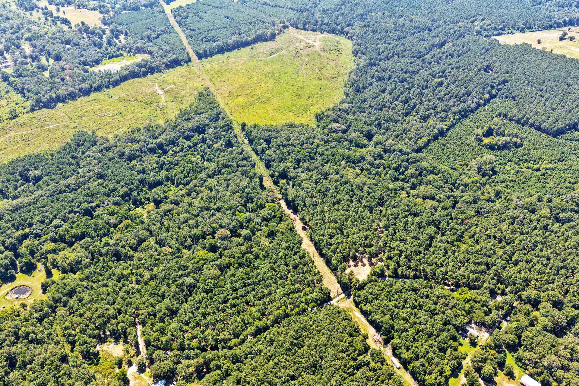 Unimproved Land For Sale in Camp County , Lot 2 County Road 1240, Pittsburg, Texas 75686, 0, 0, Garage spaces, 0 Sqft, built in 0, Price $90,950, mls#21355730, Real Estate Agent in Pittsburg, Homes For Sale in Camp county, Homes For Sale in Pittsburg, Realtor in Pittsburg Texas, Real Estate Brokerage Independent Realty Texas, Luminita Cordes Realtor