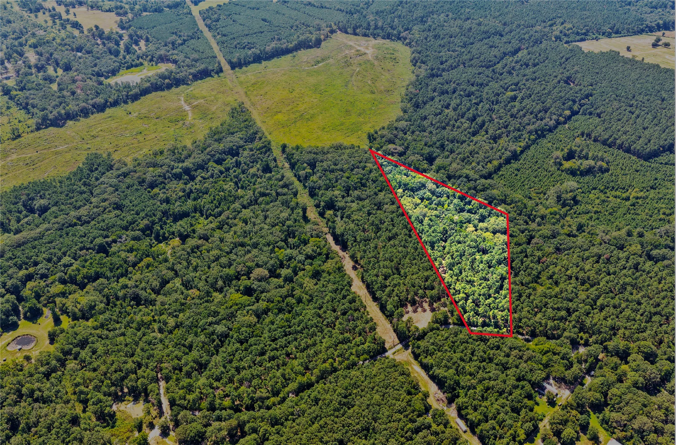 Unimproved Land For Sale in Camp County , Lot 2 County Road 1240, Pittsburg, Texas 75686, 0, 0, Garage spaces, 0 Sqft, built in 0, Price $90,950, mls#21355730, Real Estate Agent in Pittsburg, Homes For Sale in Camp county, Homes For Sale in Pittsburg, Realtor in Pittsburg Texas, Real Estate Brokerage Independent Realty Texas, Luminita Cordes Realtor