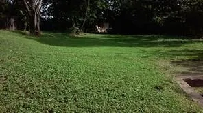 Unimproved Land For Sale in Dallas County , 1033 Church Street, Dallas, Texas 75203, 0, 0, Garage spaces, 0 Sqft, built in 0, mls#21355917, Real Estate Agent in Dallas, Homes For Sale in Dallas county, Homes For Sale in Dallas, Realtor in Dallas Texas, Real Estate Brokerage Independent Realty Texas, Luminita Cordes Realtor