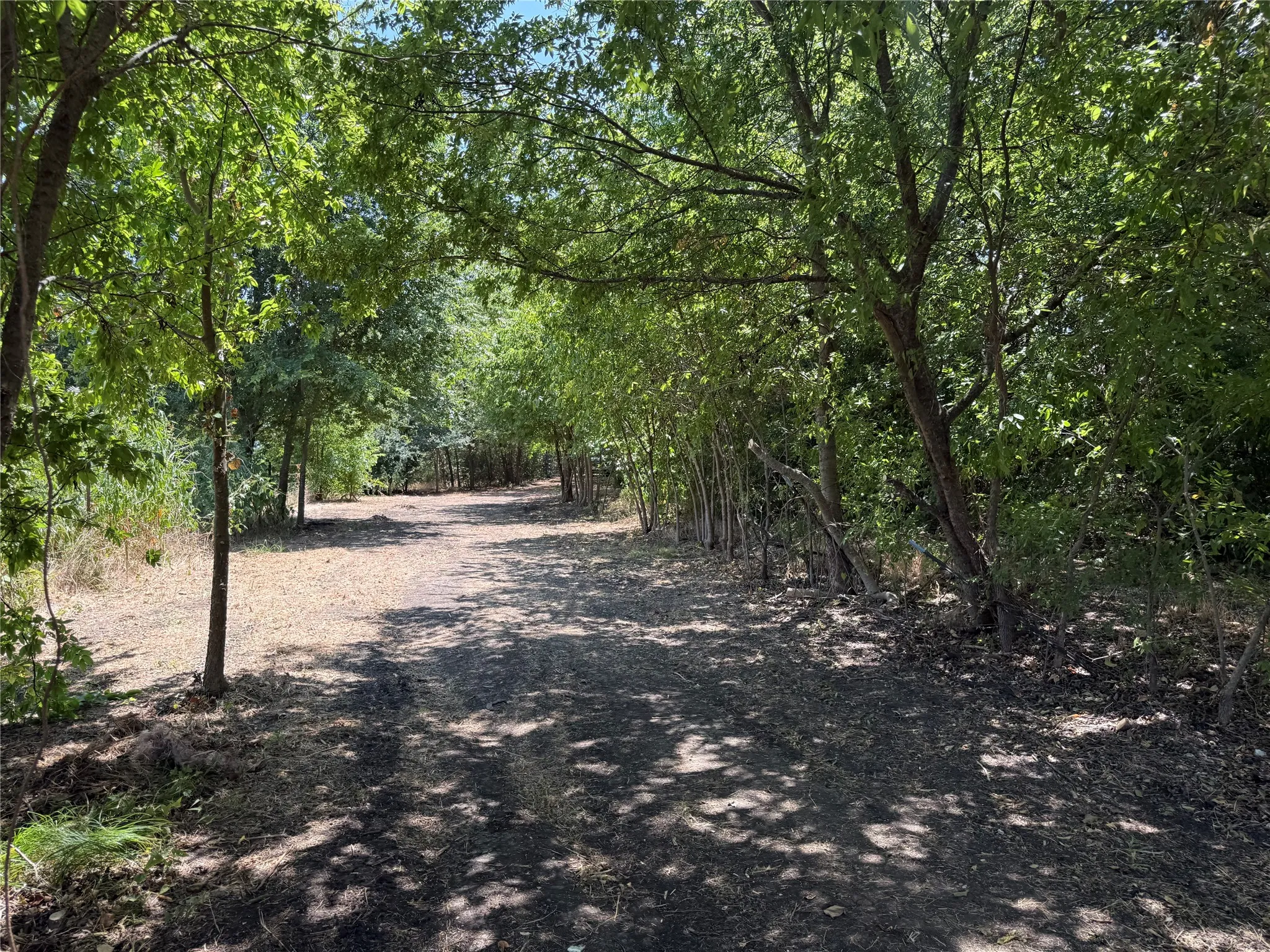 Improved Land For Sale in Fannin County , 101 CR 4709, Leonard, Texas 75452, 0, 0, Garage spaces, 0 Sqft, built in 2021, mls#21353502, Real Estate Agent in Leonard, Homes For Sale in Fannin county, Homes For Sale in Leonard, Realtor in Leonard Texas, Real Estate Brokerage Independent Realty Texas, Luminita Cordes Realtor