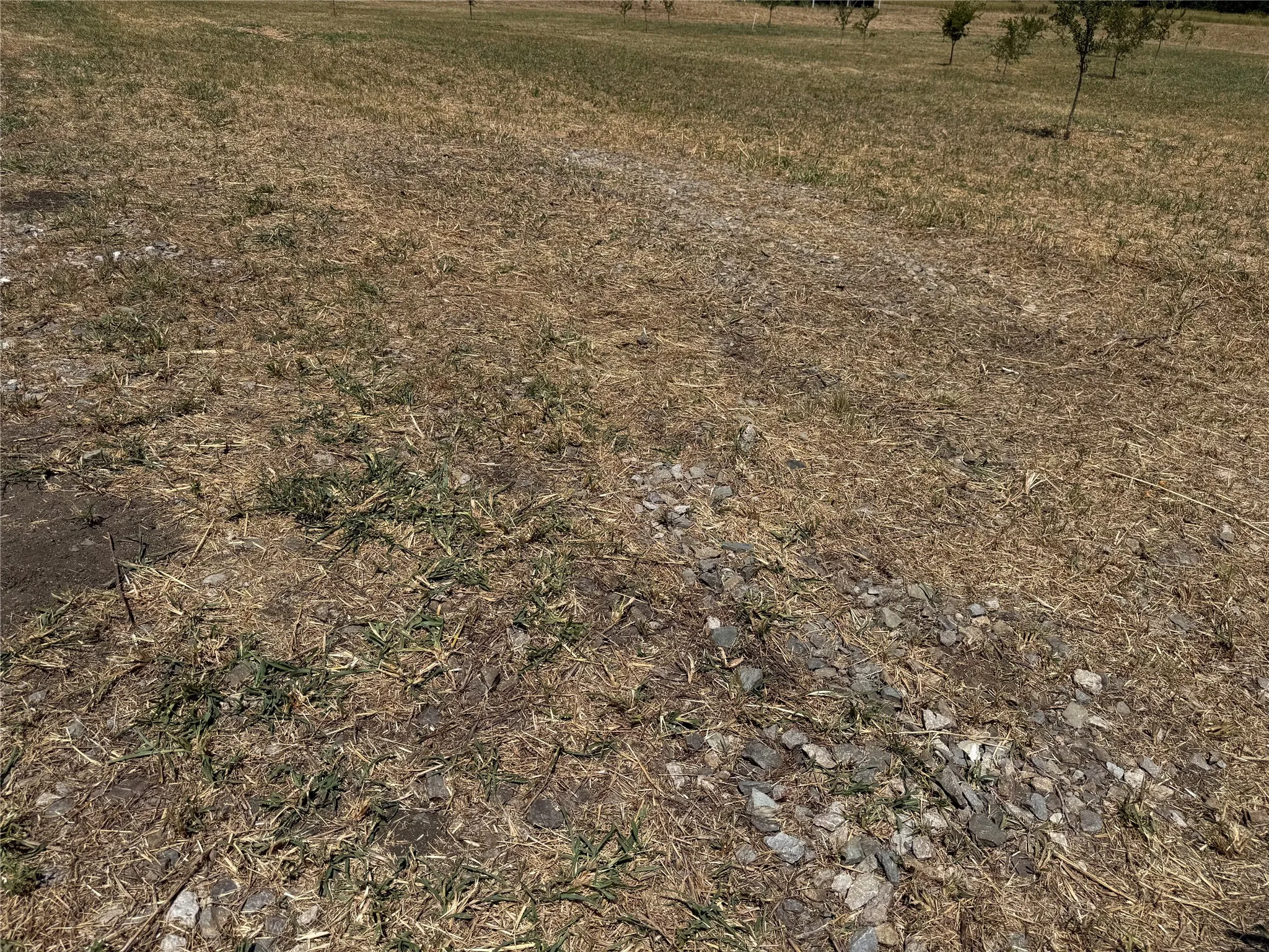 Improved Land For Sale in Fannin County , 101 CR 4709, Leonard, Texas 75452, 0, 0, Garage spaces, 0 Sqft, built in 2021, mls#21353502, Real Estate Agent in Leonard, Homes For Sale in Fannin county, Homes For Sale in Leonard, Realtor in Leonard Texas, Real Estate Brokerage Independent Realty Texas, Luminita Cordes Realtor