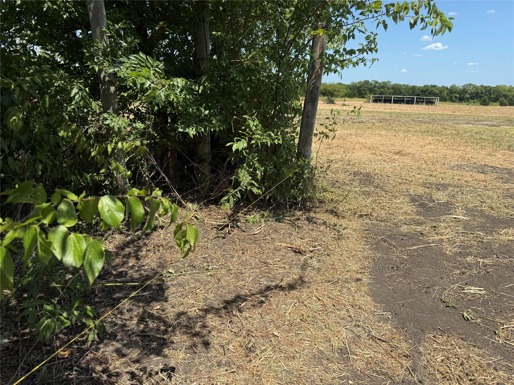 Improved Land For Sale in Fannin County , 101 CR 4709, Leonard, Texas 75452, 0, 0, Garage spaces, 0 Sqft, built in 2021, mls#21353502, Real Estate Agent in Leonard, Homes For Sale in Fannin county, Homes For Sale in Leonard, Realtor in Leonard Texas, Real Estate Brokerage Independent Realty Texas, Luminita Cordes Realtor