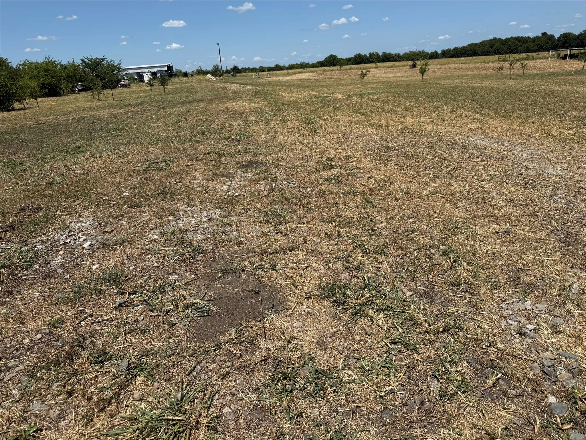Improved Land For Sale in Fannin County , 101 CR 4709, Leonard, Texas 75452, 0, 0, Garage spaces, 0 Sqft, built in 2021, mls#21353502, Real Estate Agent in Leonard, Homes For Sale in Fannin county, Homes For Sale in Leonard, Realtor in Leonard Texas, Real Estate Brokerage Independent Realty Texas, Luminita Cordes Realtor