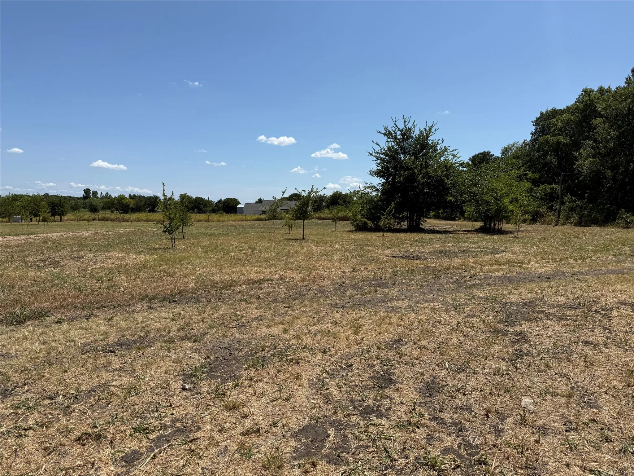 Improved Land For Sale in Fannin County , 101 CR 4709, Leonard, Texas 75452, 0, 0, Garage spaces, 0 Sqft, built in 2021, mls#21353502, Real Estate Agent in Leonard, Homes For Sale in Fannin county, Homes For Sale in Leonard, Realtor in Leonard Texas, Real Estate Brokerage Independent Realty Texas, Luminita Cordes Realtor