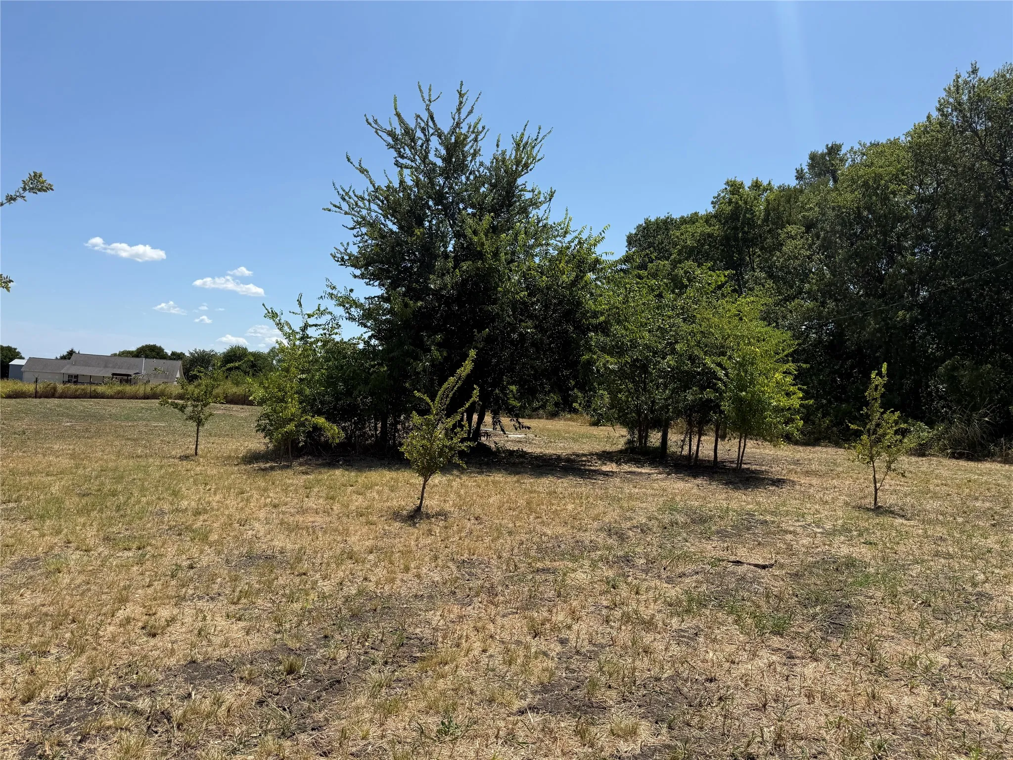 Improved Land For Sale in Fannin County , 101 CR 4709, Leonard, Texas 75452, 0, 0, Garage spaces, 0 Sqft, built in 2021, mls#21353502, Real Estate Agent in Leonard, Homes For Sale in Fannin county, Homes For Sale in Leonard, Realtor in Leonard Texas, Real Estate Brokerage Independent Realty Texas, Luminita Cordes Realtor