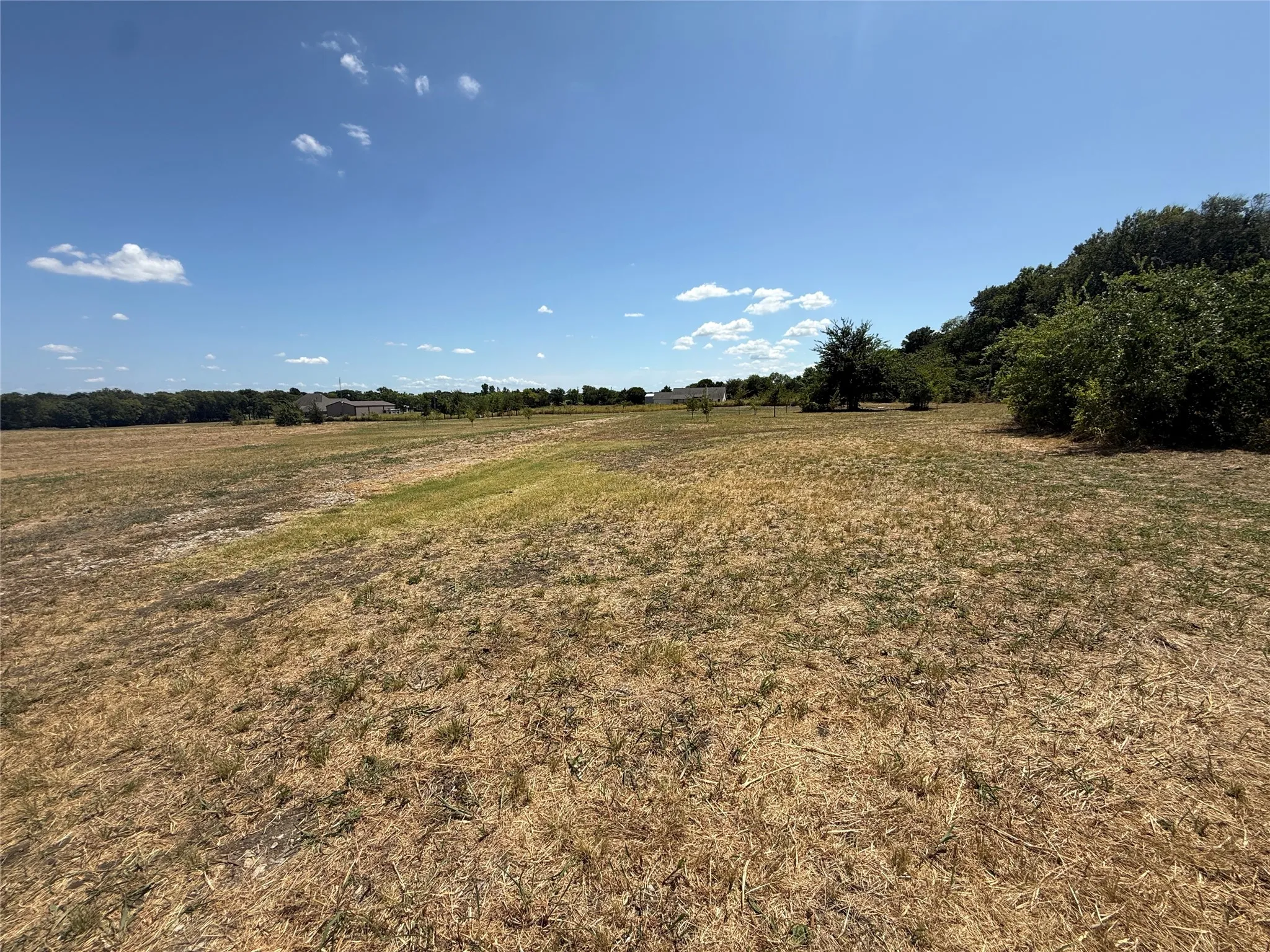 Improved Land For Sale in Fannin County , 101 CR 4709, Leonard, Texas 75452, 0, 0, Garage spaces, 0 Sqft, built in 2021, mls#21353502, Real Estate Agent in Leonard, Homes For Sale in Fannin county, Homes For Sale in Leonard, Realtor in Leonard Texas, Real Estate Brokerage Independent Realty Texas, Luminita Cordes Realtor