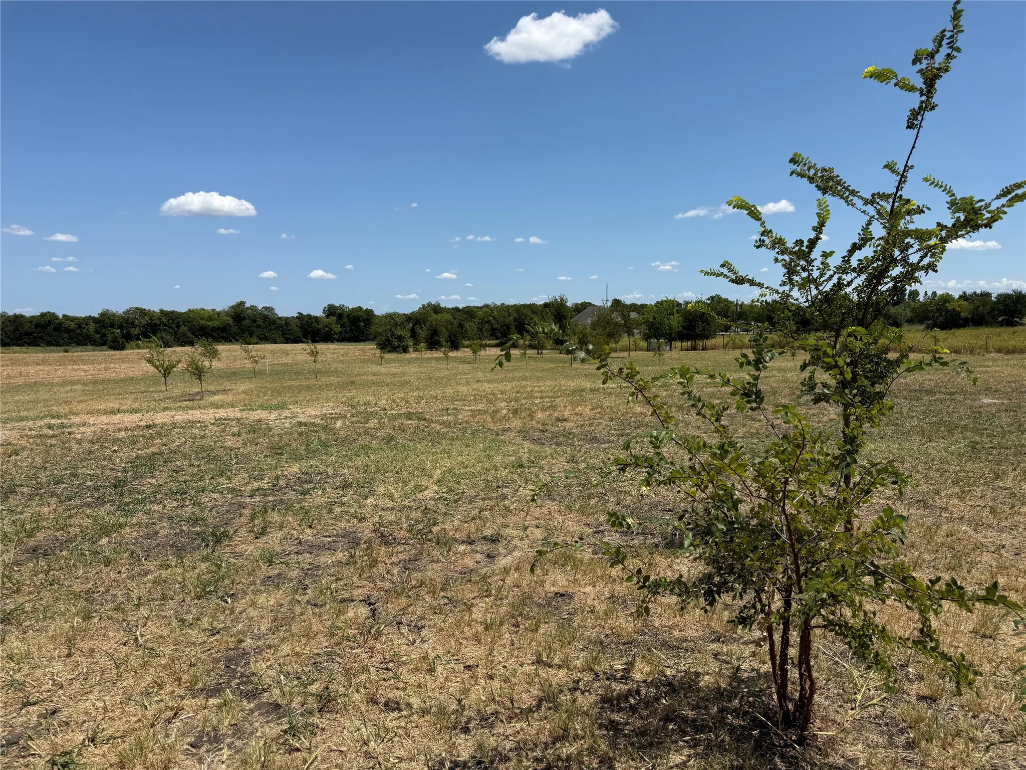 Improved Land For Sale in Fannin County , 101 CR 4709, Leonard, Texas 75452, 0, 0, Garage spaces, 0 Sqft, built in 2021, mls#21353502, Real Estate Agent in Leonard, Homes For Sale in Fannin county, Homes For Sale in Leonard, Realtor in Leonard Texas, Real Estate Brokerage Independent Realty Texas, Luminita Cordes Realtor