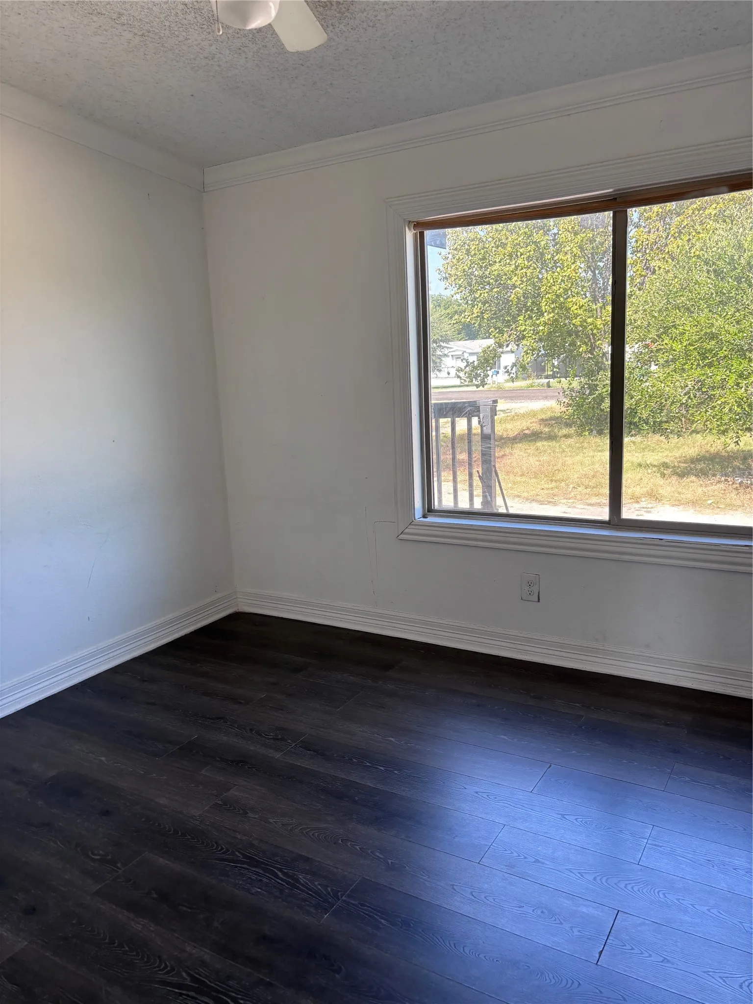 Bright corner bedroom with expansive windows framing natural light and outdoor scenery, dark wood-finish flooring, and clean white walls and ceiling trim
