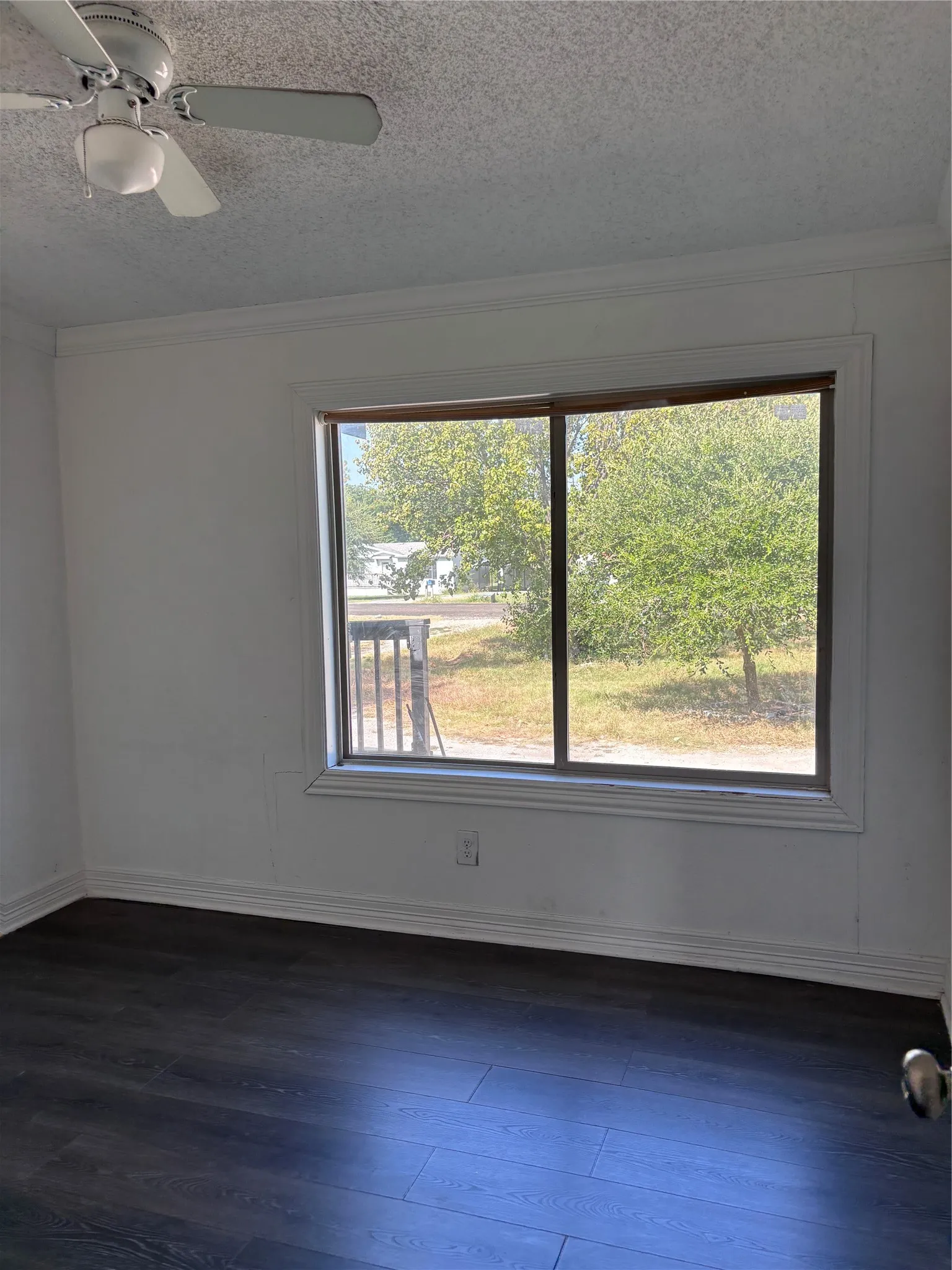 Wood-finish flooring with white trim, a large window, a ceiling fan, and white walls
