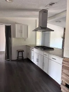 Stainless steel range hood, white cabinetry with contemporary hardware, wood-finish flooring, and a gas cooktop