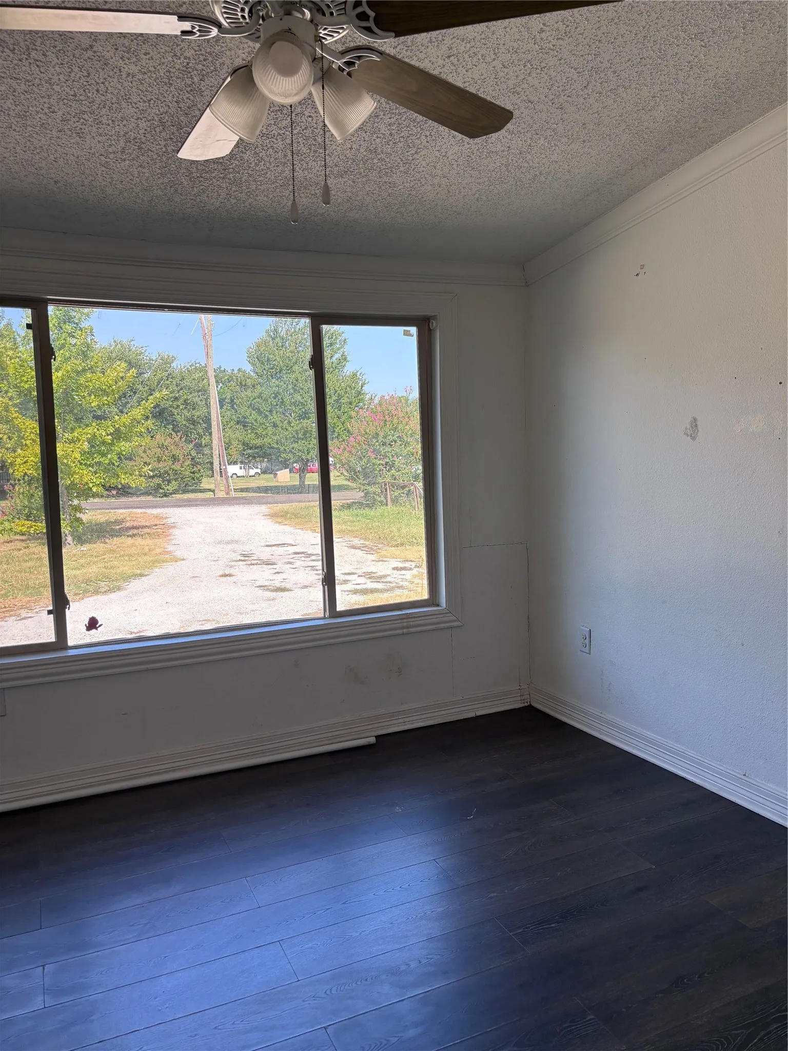Dark wood-finish flooring with white baseboards, crown molding, a ceiling fan with light fixture, and a large window
