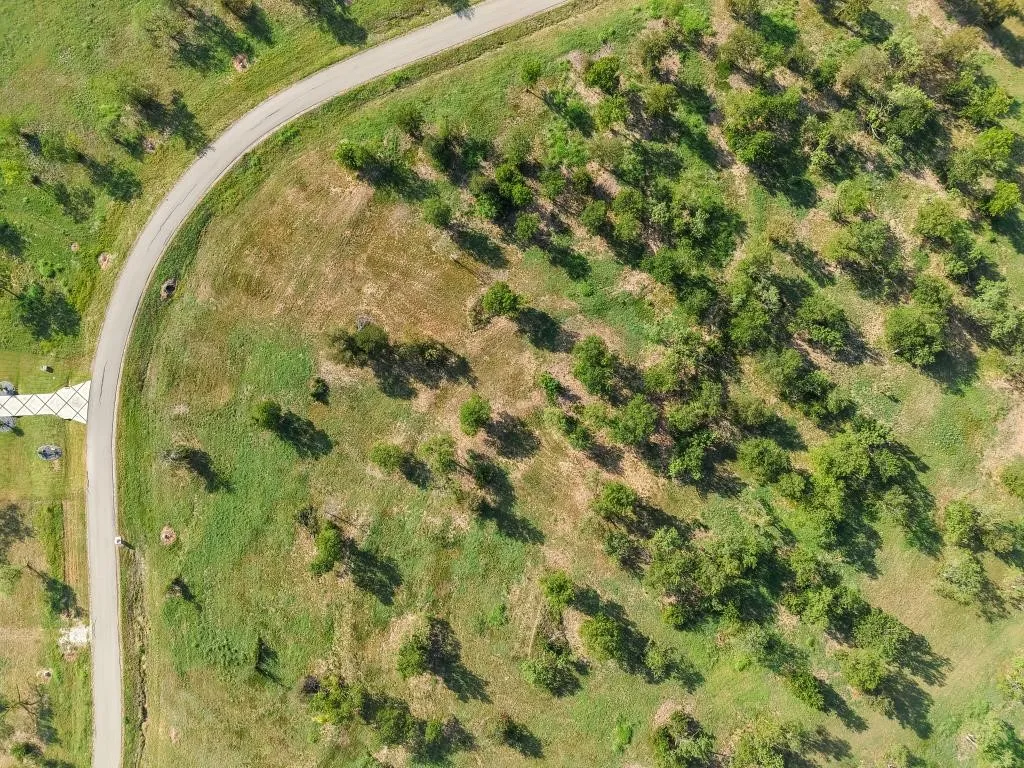 Unimproved Land For Sale in Navarro County , L 105 Diamond Point, Corsicana, Texas 75109, 0, 0, Garage spaces, 0 Sqft, built in 0, Price $98,499, mls#21355933, Real Estate Agent in Corsicana, Homes For Sale in Navarro county, Homes For Sale in Corsicana, Realtor in Corsicana Texas, Real Estate Brokerage Independent Realty Texas, Luminita Cordes Realtor