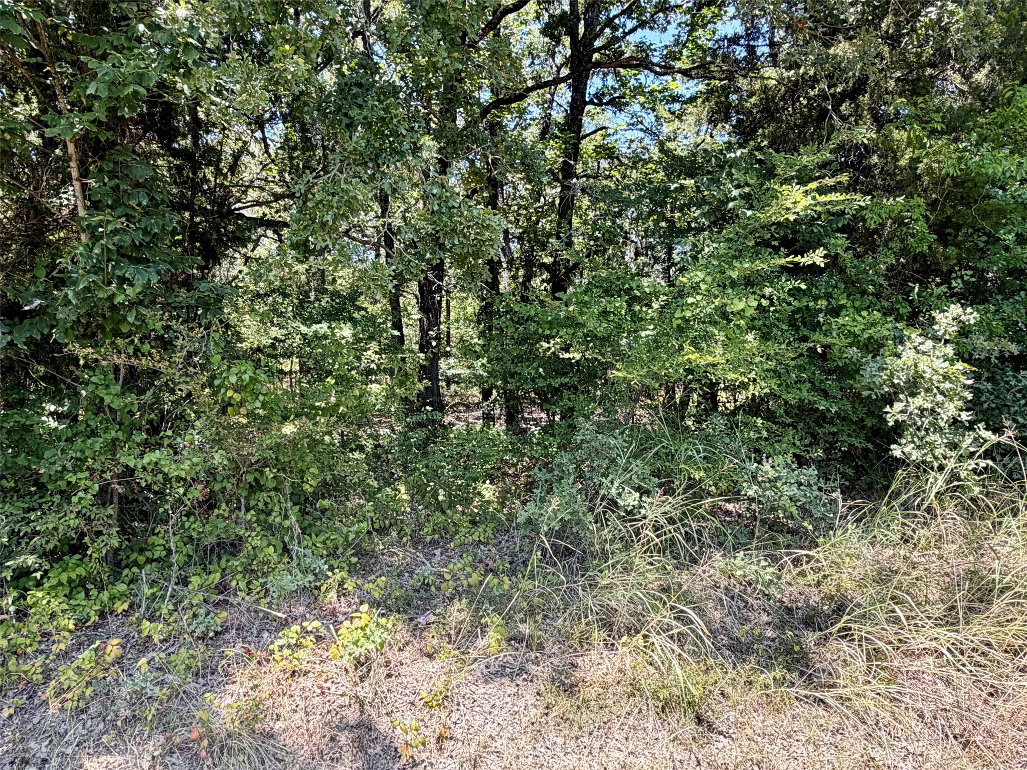 Unimproved Land For Sale in Henderson County , 107 Double Bridge Road, Mabank, Texas 75156, 0, 0, Garage spaces, 0 Sqft, built in 0, mls#21355279, Real Estate Agent in Mabank, Homes For Sale in Henderson county, Homes For Sale in Mabank, Realtor in Mabank Texas, Real Estate Brokerage Independent Realty Texas, Luminita Cordes Realtor