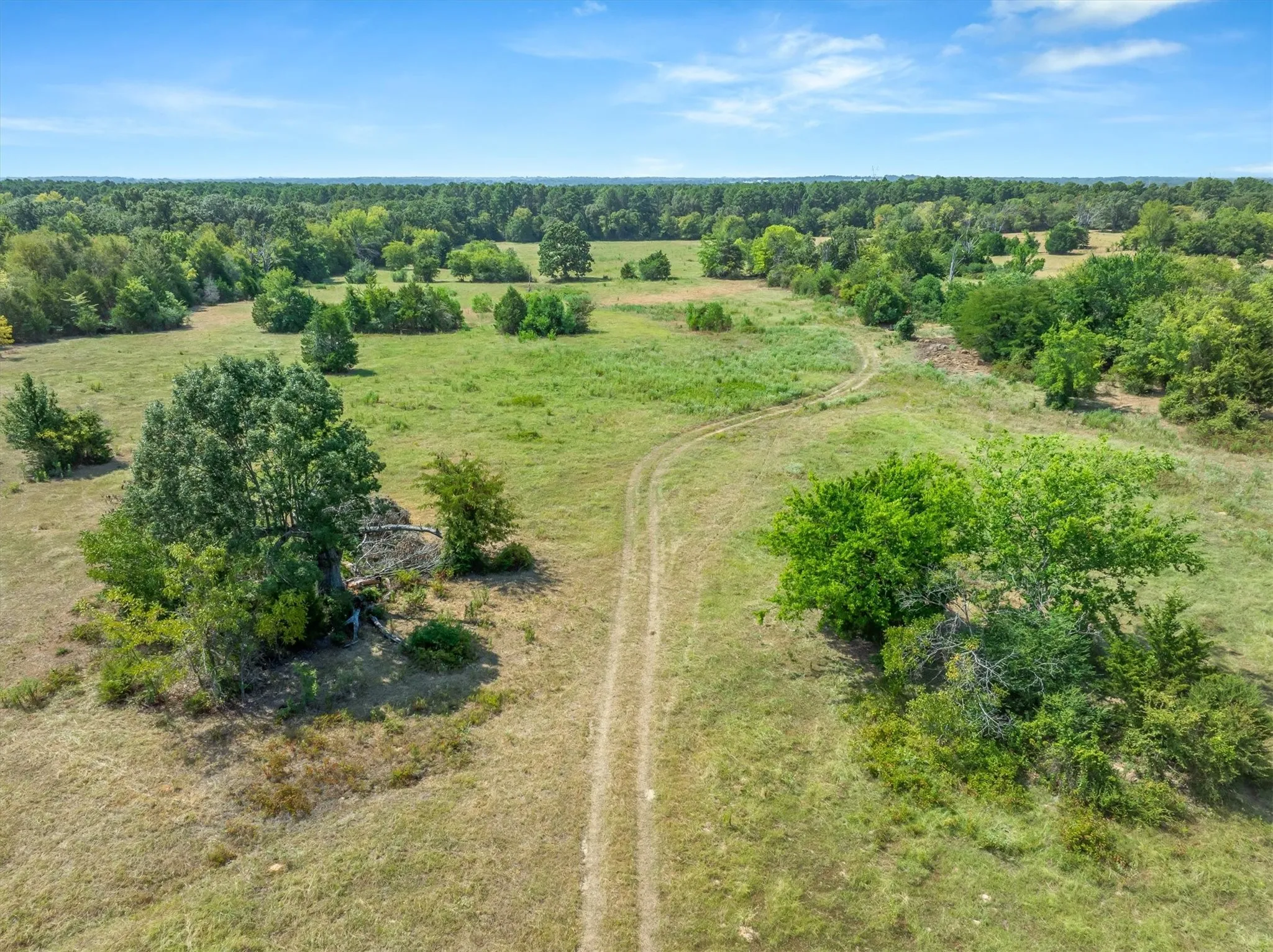 Farm For Sale in Van Zandt County , 3183 Vz County Road 1712, Grand Saline, Texas 75140, 2 Bedroom, 1 Bathroom, Garage spaces, 3,879 Sqft, built in 1953, Price $465,000, mls#21355840, Real Estate Agent in Grand Saline, Homes For Sale in Van Zandt county, Homes For Sale in Grand Saline, Realtor in Grand Saline Texas, Real Estate Brokerage Independent Realty Texas, Luminita Cordes Realtor