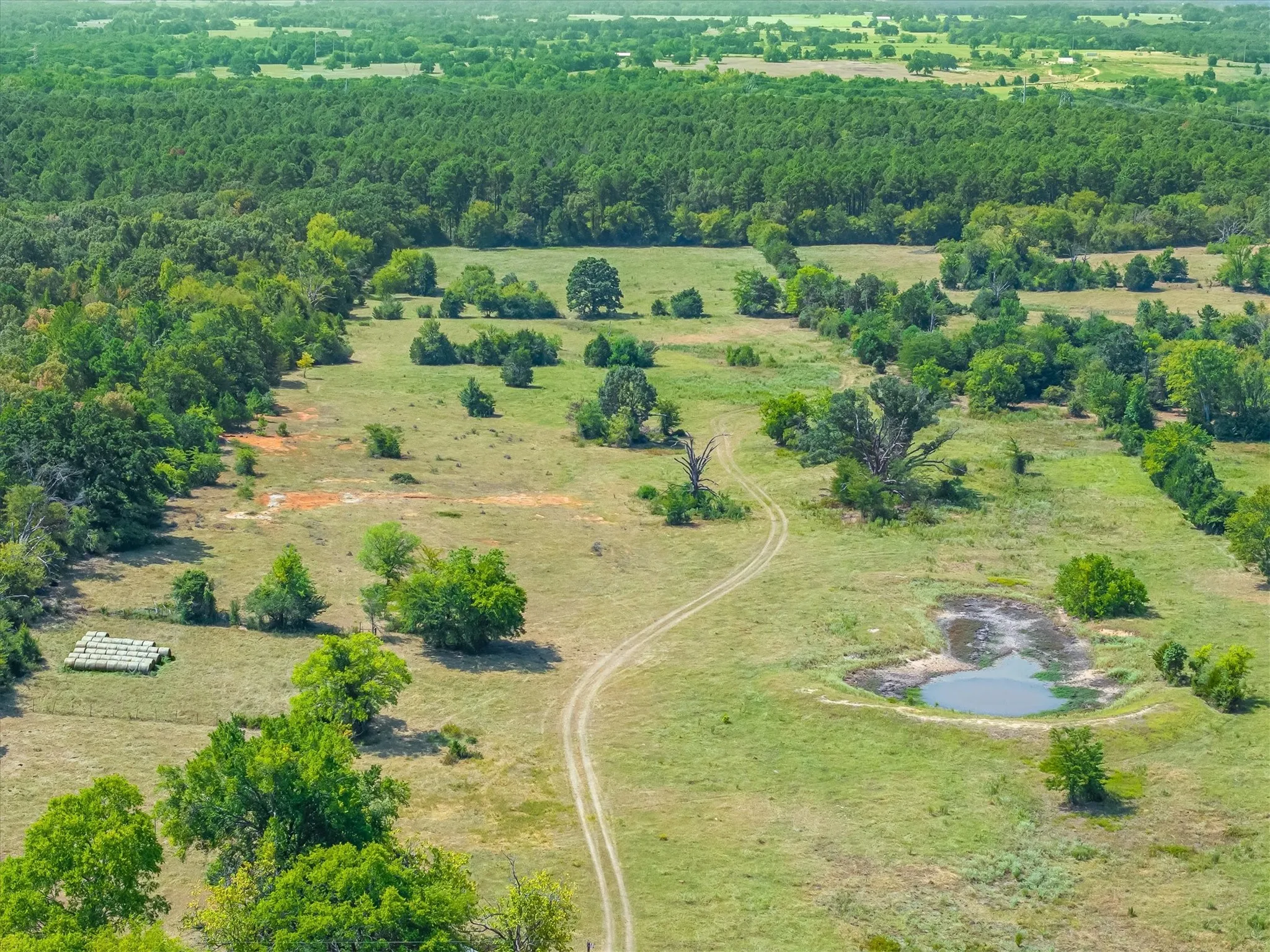 Farm For Sale in Van Zandt County , 3183 Vz County Road 1712, Grand Saline, Texas 75140, 2 Bedroom, 1 Bathroom, Garage spaces, 3,879 Sqft, built in 1953, Price $465,000, mls#21355840, Real Estate Agent in Grand Saline, Homes For Sale in Van Zandt county, Homes For Sale in Grand Saline, Realtor in Grand Saline Texas, Real Estate Brokerage Independent Realty Texas, Luminita Cordes Realtor