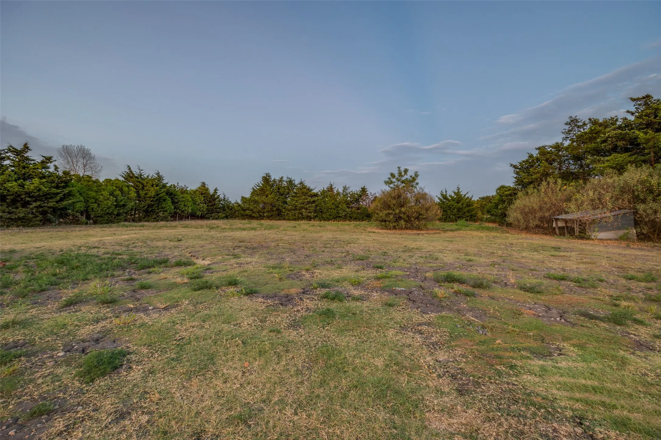 Expansive plot featuring natural ground cover, mature trees, and a distant outbuilding