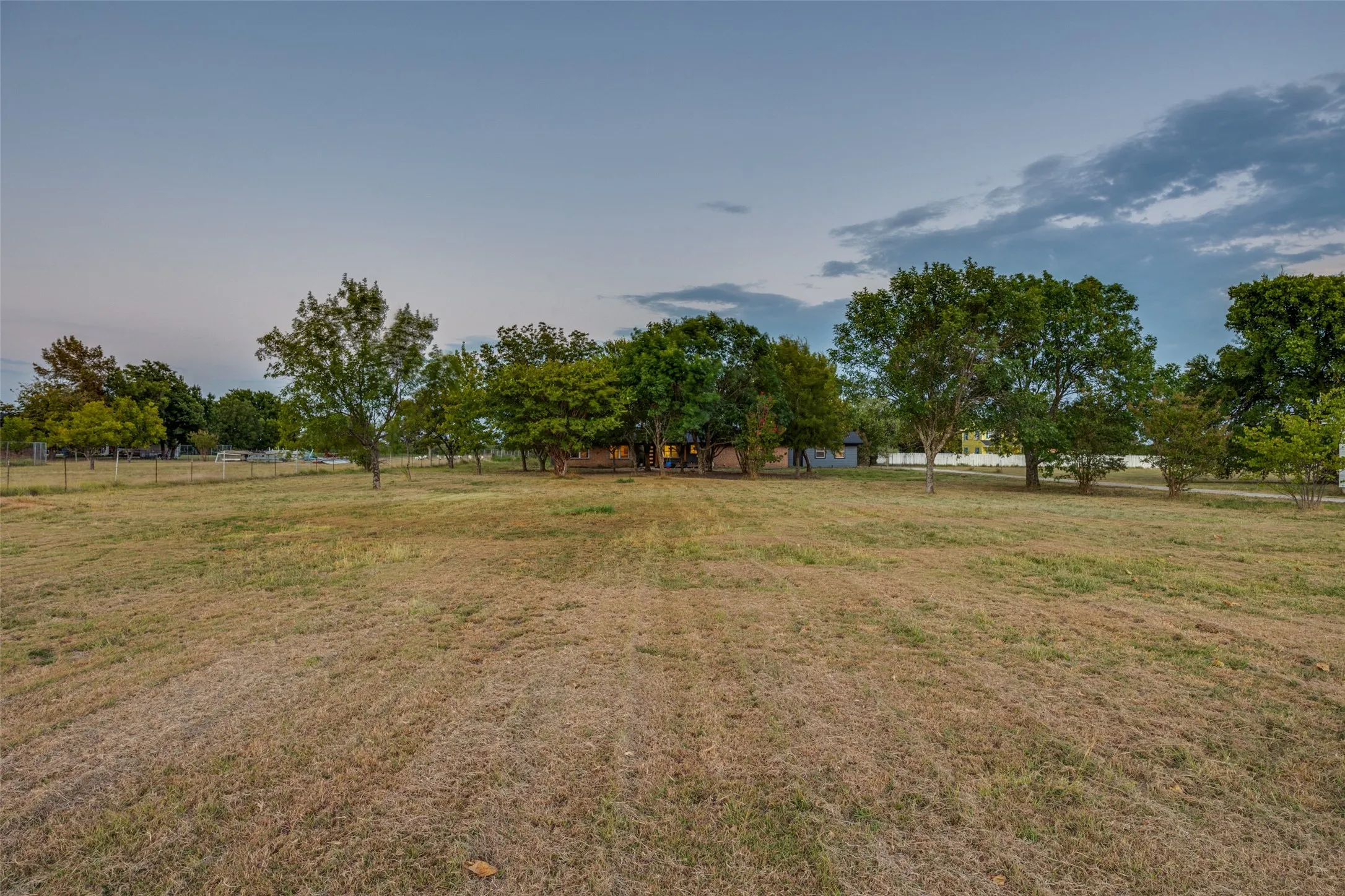 Expansive open field with scattered mature trees and a distant fence line