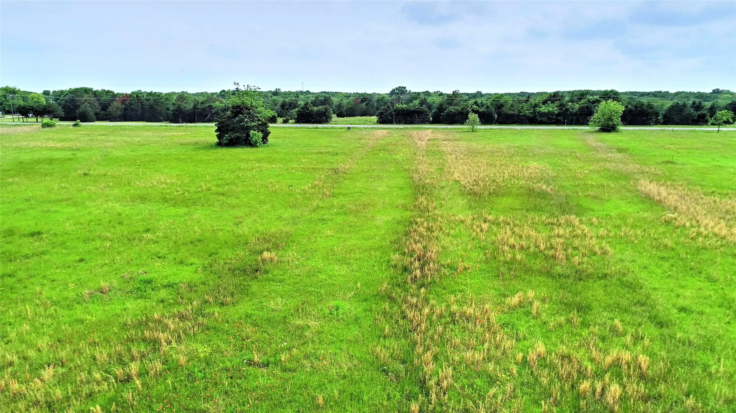 Unimproved Land For Sale in Rains County , Lot 6 Center Drive, Point, Texas 75472, 0, 0, Garage spaces, 0 Sqft, built in 0, Price $35,000, mls#21356061, Real Estate Agent in Point, Homes For Sale in Rains county, Homes For Sale in Point, Realtor in Point Texas, Real Estate Brokerage Independent Realty Texas, Luminita Cordes Realtor
