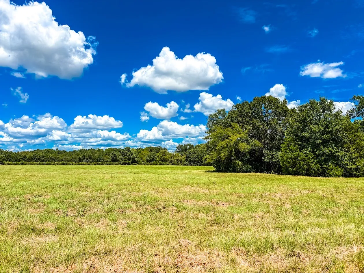 Unimproved Land For Sale in Freestone County , 0000 FCR 520, Fairfield, Texas 75840, 0, 0, Garage spaces, 0 Sqft, built in 0, Price $425,400, mls#21356058, Real Estate Agent in Fairfield, Homes For Sale in Freestone county, Homes For Sale in Fairfield, Realtor in Fairfield Texas, Real Estate Brokerage Independent Realty Texas, Luminita Cordes Realtor