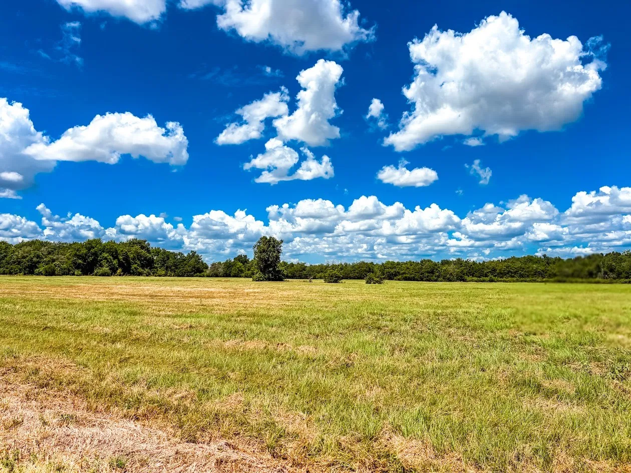Unimproved Land For Sale in Freestone County , 0000 FCR 520, Fairfield, Texas 75840, 0, 0, Garage spaces, 0 Sqft, built in 0, Price $425,400, mls#21356058, Real Estate Agent in Fairfield, Homes For Sale in Freestone county, Homes For Sale in Fairfield, Realtor in Fairfield Texas, Real Estate Brokerage Independent Realty Texas, Luminita Cordes Realtor
