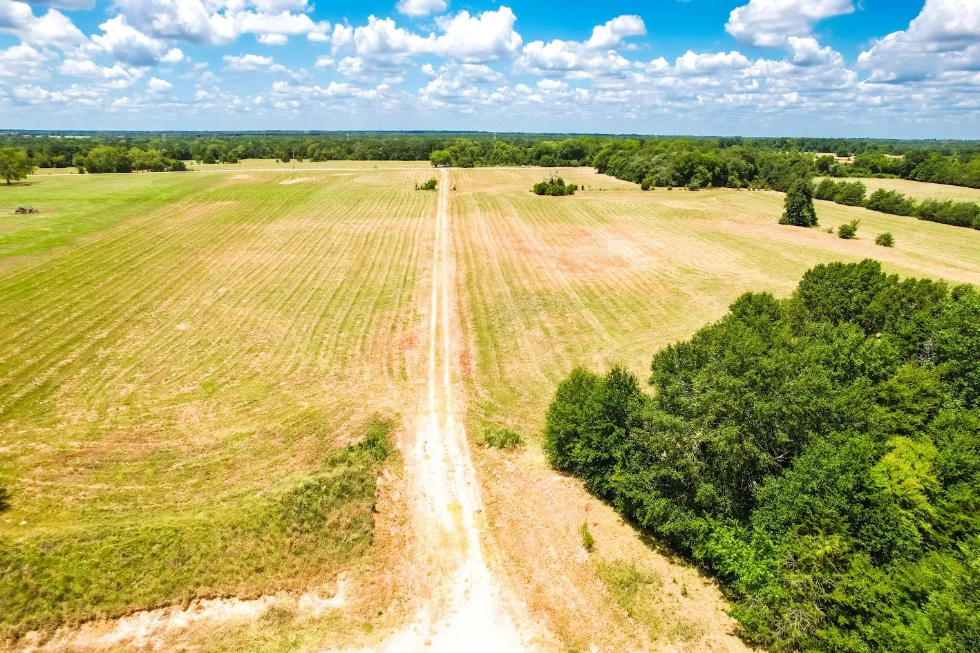 Unimproved Land For Sale in Freestone County , 0000 FCR 520, Fairfield, Texas 75840, 0, 0, Garage spaces, 0 Sqft, built in 0, Price $425,400, mls#21356058, Real Estate Agent in Fairfield, Homes For Sale in Freestone county, Homes For Sale in Fairfield, Realtor in Fairfield Texas, Real Estate Brokerage Independent Realty Texas, Luminita Cordes Realtor