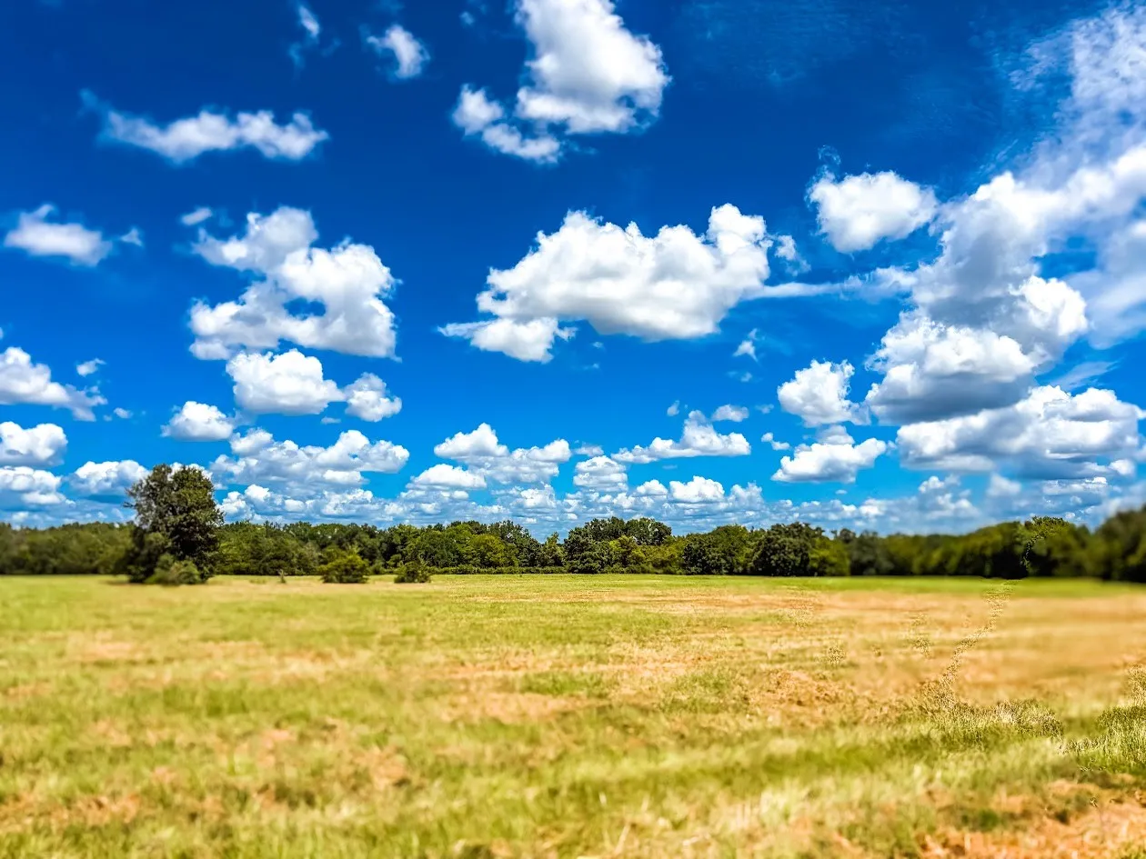 Unimproved Land For Sale in Freestone County , 0000 FCR 520, Fairfield, Texas 75840, 0, 0, Garage spaces, 0 Sqft, built in 0, Price $425,400, mls#21356058, Real Estate Agent in Fairfield, Homes For Sale in Freestone county, Homes For Sale in Fairfield, Realtor in Fairfield Texas, Real Estate Brokerage Independent Realty Texas, Luminita Cordes Realtor