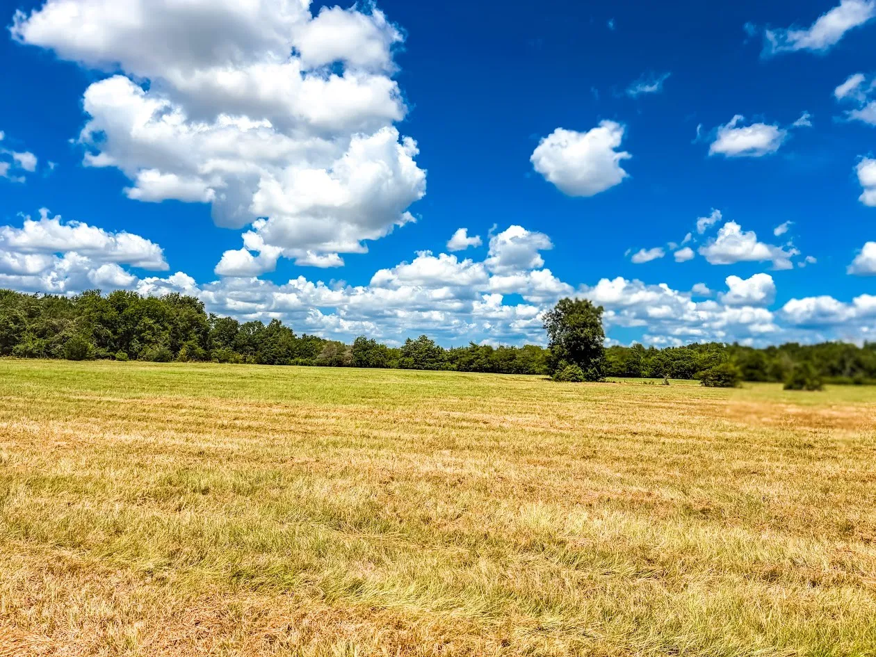 Unimproved Land For Sale in Freestone County , 0000 FCR 520, Fairfield, Texas 75840, 0, 0, Garage spaces, 0 Sqft, built in 0, Price $425,400, mls#21356058, Real Estate Agent in Fairfield, Homes For Sale in Freestone county, Homes For Sale in Fairfield, Realtor in Fairfield Texas, Real Estate Brokerage Independent Realty Texas, Luminita Cordes Realtor