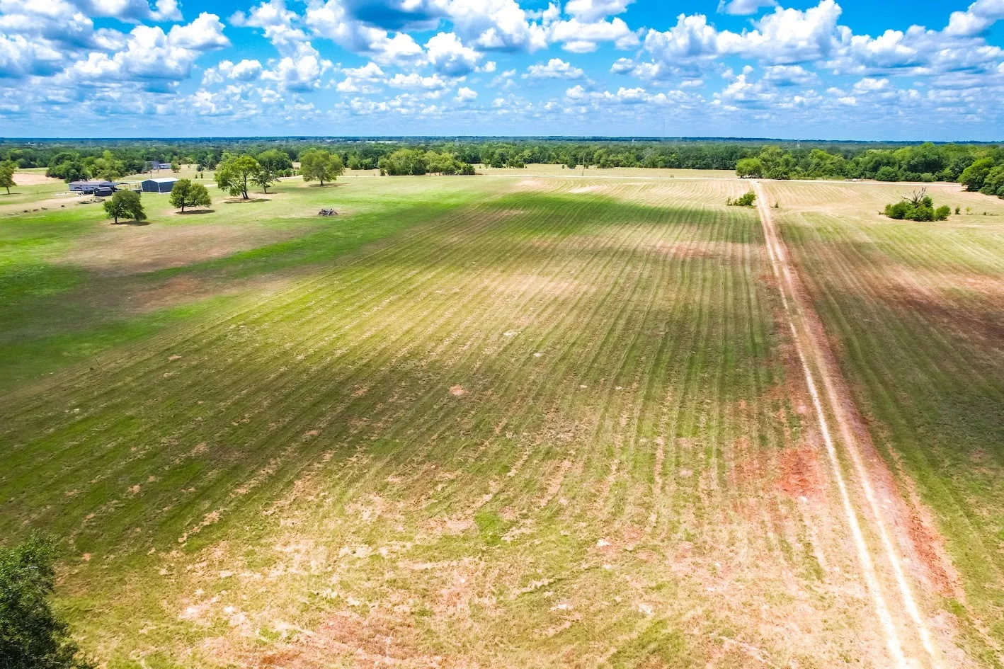 Unimproved Land For Sale in Freestone County , 0000 FCR 520, Fairfield, Texas 75840, 0, 0, Garage spaces, 0 Sqft, built in 0, Price $425,400, mls#21356058, Real Estate Agent in Fairfield, Homes For Sale in Freestone county, Homes For Sale in Fairfield, Realtor in Fairfield Texas, Real Estate Brokerage Independent Realty Texas, Luminita Cordes Realtor