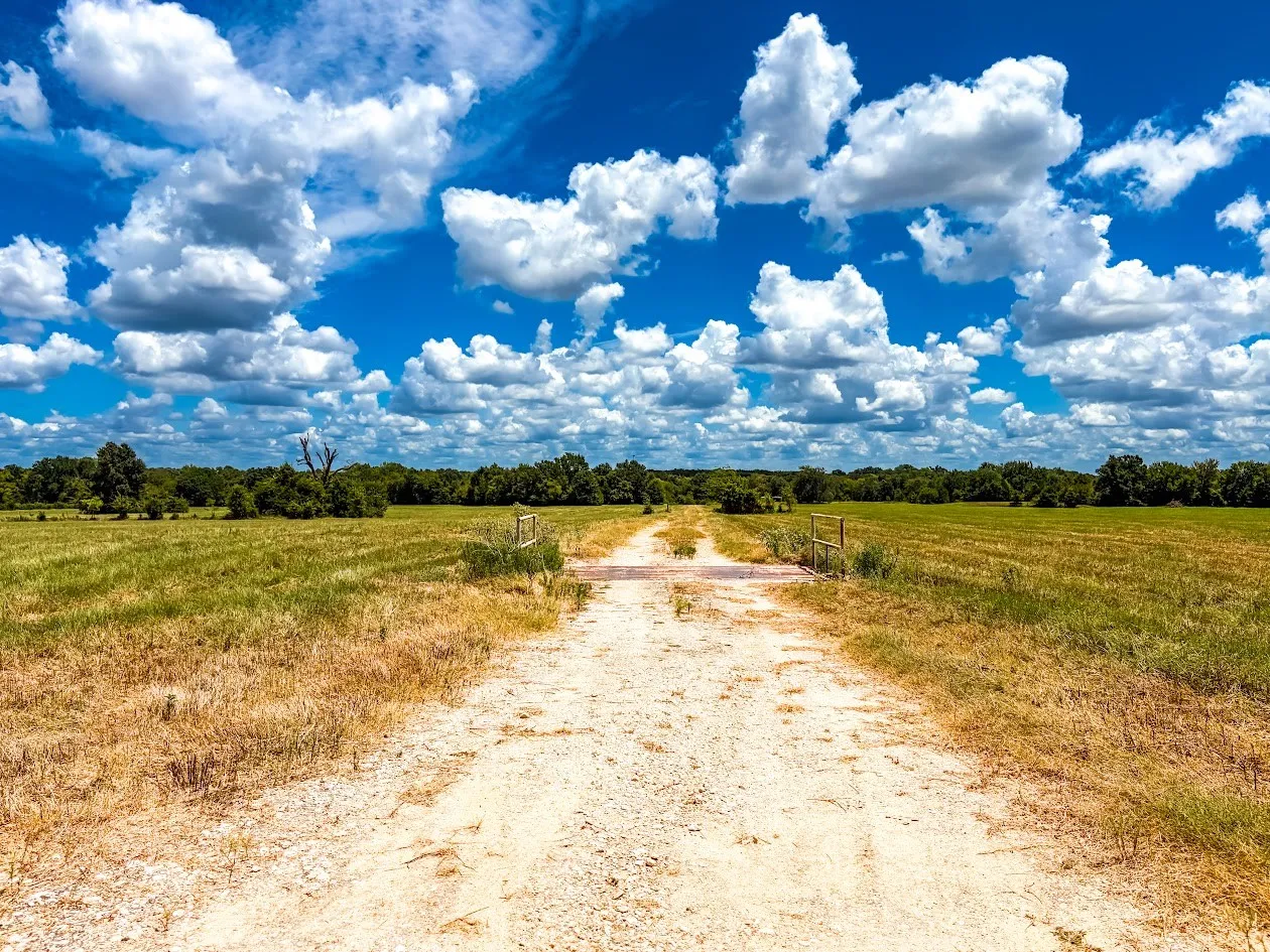 Unimproved Land For Sale in Freestone County , 0000 FCR 520, Fairfield, Texas 75840, 0, 0, Garage spaces, 0 Sqft, built in 0, Price $425,400, mls#21356058, Real Estate Agent in Fairfield, Homes For Sale in Freestone county, Homes For Sale in Fairfield, Realtor in Fairfield Texas, Real Estate Brokerage Independent Realty Texas, Luminita Cordes Realtor