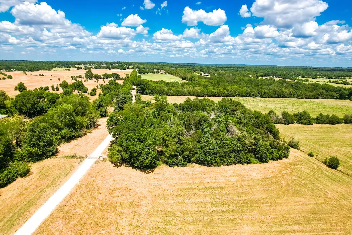 Unimproved Land For Sale in Freestone County , 0000 FCR 520, Fairfield, Texas 75840, 0, 0, Garage spaces, 0 Sqft, built in 0, Price $425,400, mls#21356058, Real Estate Agent in Fairfield, Homes For Sale in Freestone county, Homes For Sale in Fairfield, Realtor in Fairfield Texas, Real Estate Brokerage Independent Realty Texas, Luminita Cordes Realtor