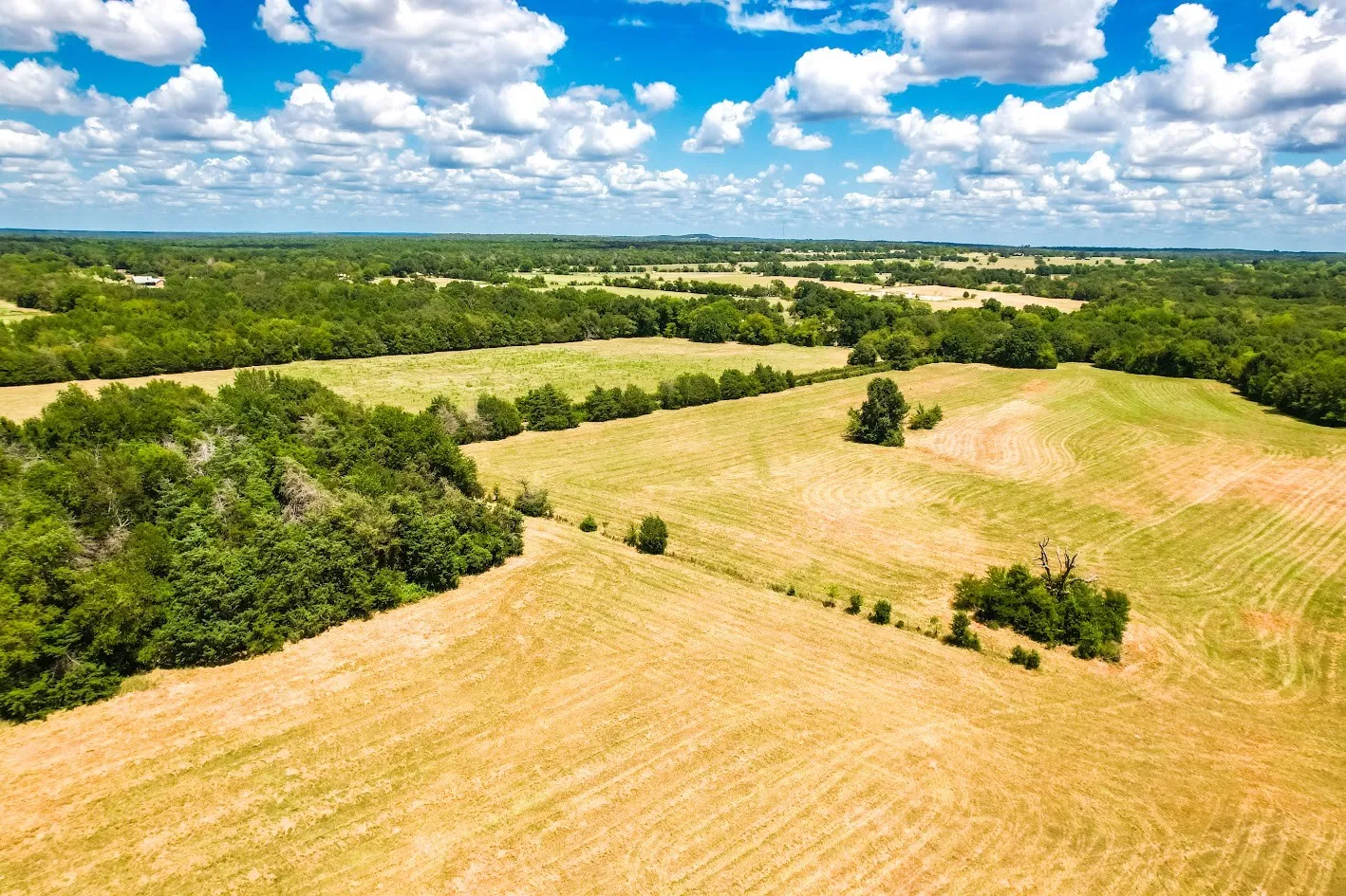 Unimproved Land For Sale in Freestone County , 0000 FCR 520, Fairfield, Texas 75840, 0, 0, Garage spaces, 0 Sqft, built in 0, Price $425,400, mls#21356058, Real Estate Agent in Fairfield, Homes For Sale in Freestone county, Homes For Sale in Fairfield, Realtor in Fairfield Texas, Real Estate Brokerage Independent Realty Texas, Luminita Cordes Realtor