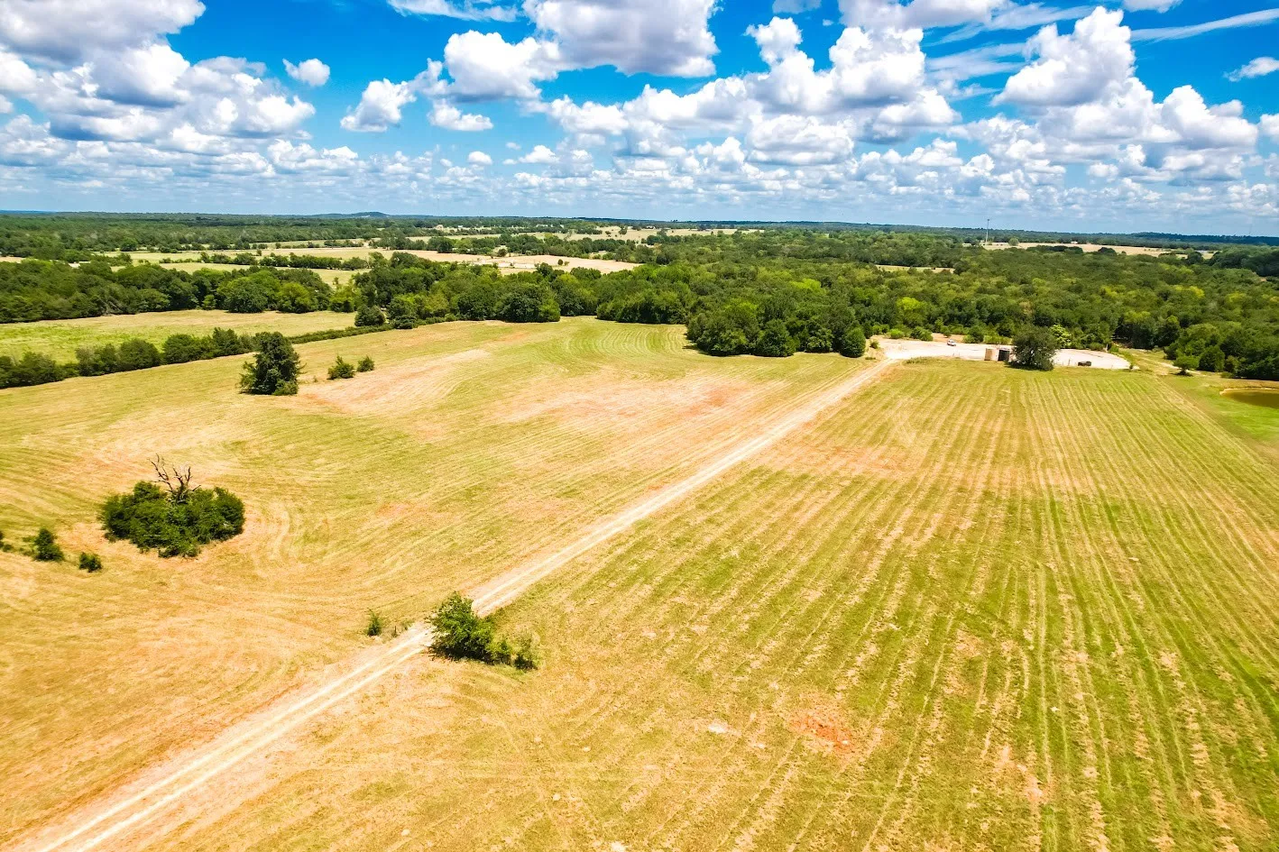 Unimproved Land For Sale in Freestone County , 0000 FCR 520, Fairfield, Texas 75840, 0, 0, Garage spaces, 0 Sqft, built in 0, Price $425,400, mls#21356058, Real Estate Agent in Fairfield, Homes For Sale in Freestone county, Homes For Sale in Fairfield, Realtor in Fairfield Texas, Real Estate Brokerage Independent Realty Texas, Luminita Cordes Realtor