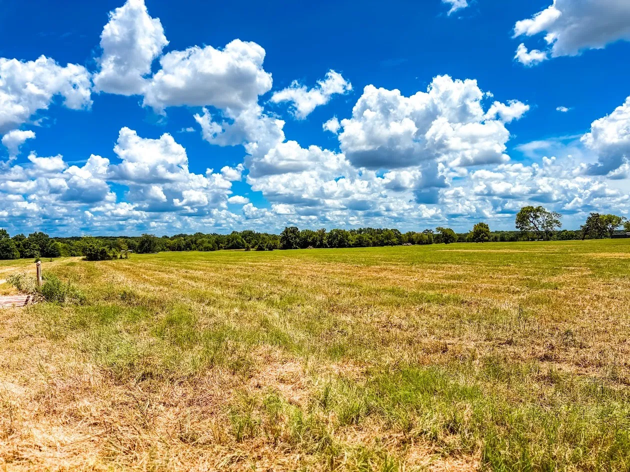 Unimproved Land For Sale in Freestone County , 0000 FCR 520, Fairfield, Texas 75840, 0, 0, Garage spaces, 0 Sqft, built in 0, Price $425,400, mls#21356058, Real Estate Agent in Fairfield, Homes For Sale in Freestone county, Homes For Sale in Fairfield, Realtor in Fairfield Texas, Real Estate Brokerage Independent Realty Texas, Luminita Cordes Realtor