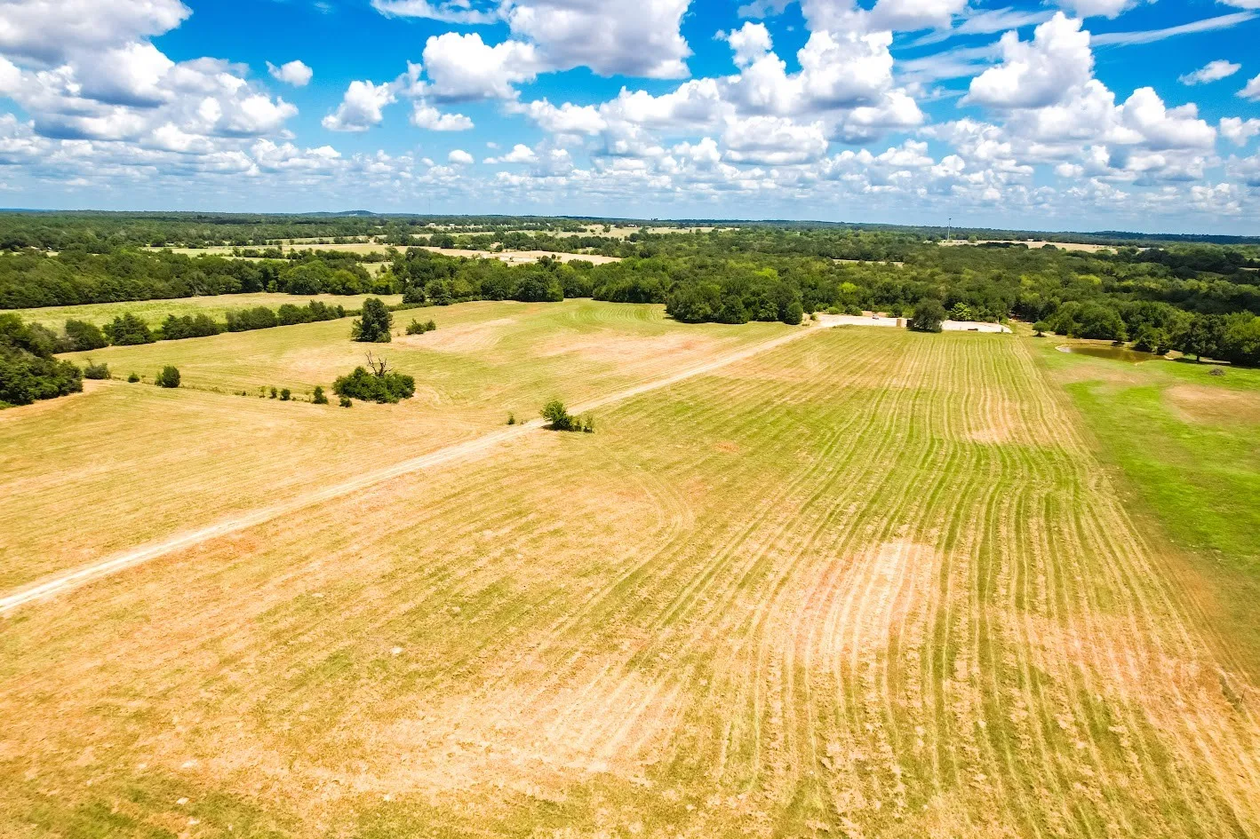 Unimproved Land For Sale in Freestone County , 0000 FCR 520, Fairfield, Texas 75840, 0, 0, Garage spaces, 0 Sqft, built in 0, Price $425,400, mls#21356058, Real Estate Agent in Fairfield, Homes For Sale in Freestone county, Homes For Sale in Fairfield, Realtor in Fairfield Texas, Real Estate Brokerage Independent Realty Texas, Luminita Cordes Realtor