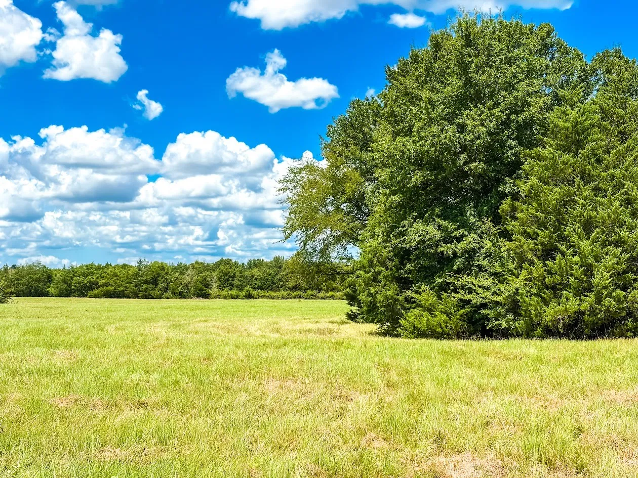 Unimproved Land For Sale in Freestone County , 0000 FCR 520, Fairfield, Texas 75840, 0, 0, Garage spaces, 0 Sqft, built in 0, Price $425,400, mls#21356058, Real Estate Agent in Fairfield, Homes For Sale in Freestone county, Homes For Sale in Fairfield, Realtor in Fairfield Texas, Real Estate Brokerage Independent Realty Texas, Luminita Cordes Realtor