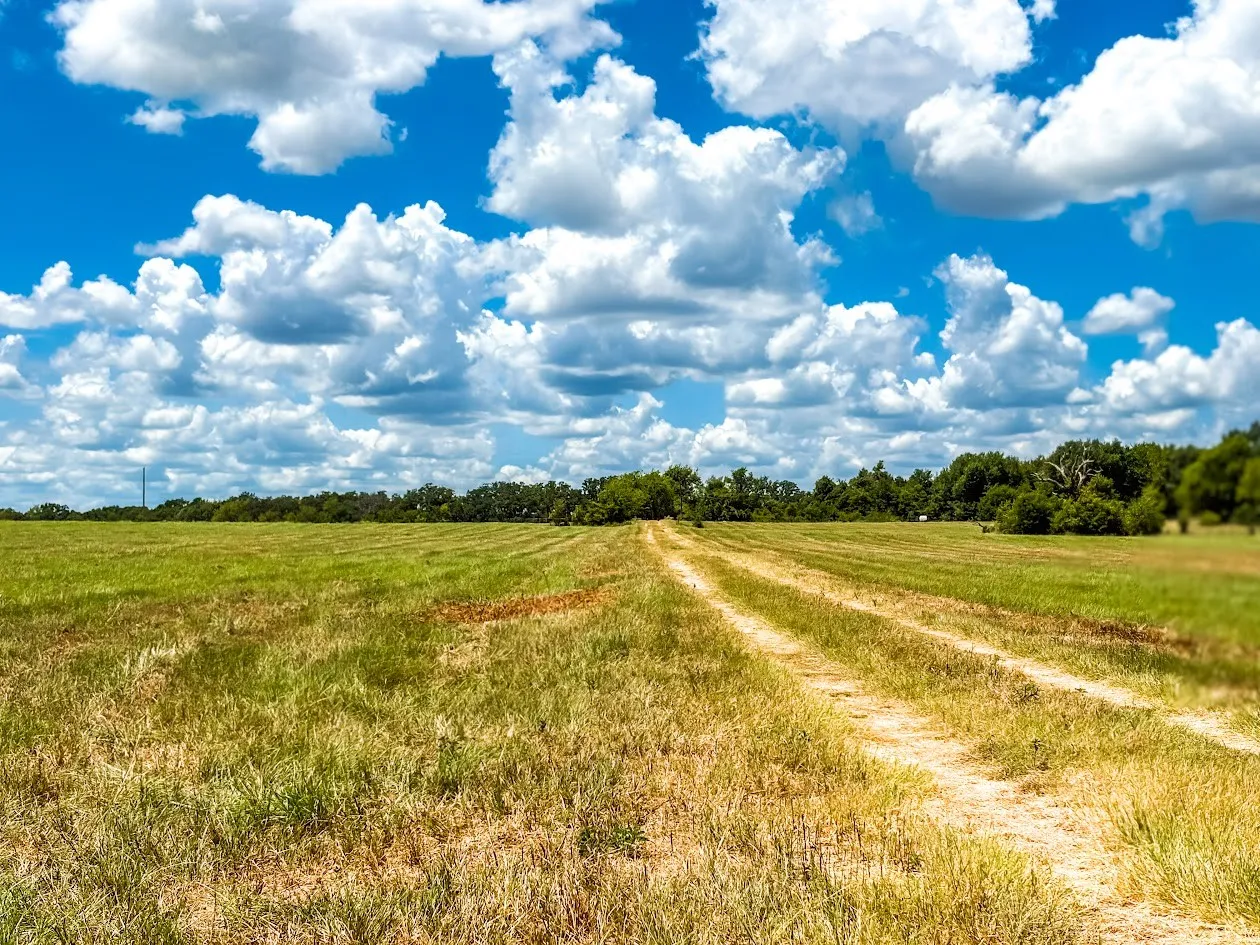 Unimproved Land For Sale in Freestone County , 0000 FCR 520, Fairfield, Texas 75840, 0, 0, Garage spaces, 0 Sqft, built in 0, Price $425,400, mls#21356058, Real Estate Agent in Fairfield, Homes For Sale in Freestone county, Homes For Sale in Fairfield, Realtor in Fairfield Texas, Real Estate Brokerage Independent Realty Texas, Luminita Cordes Realtor