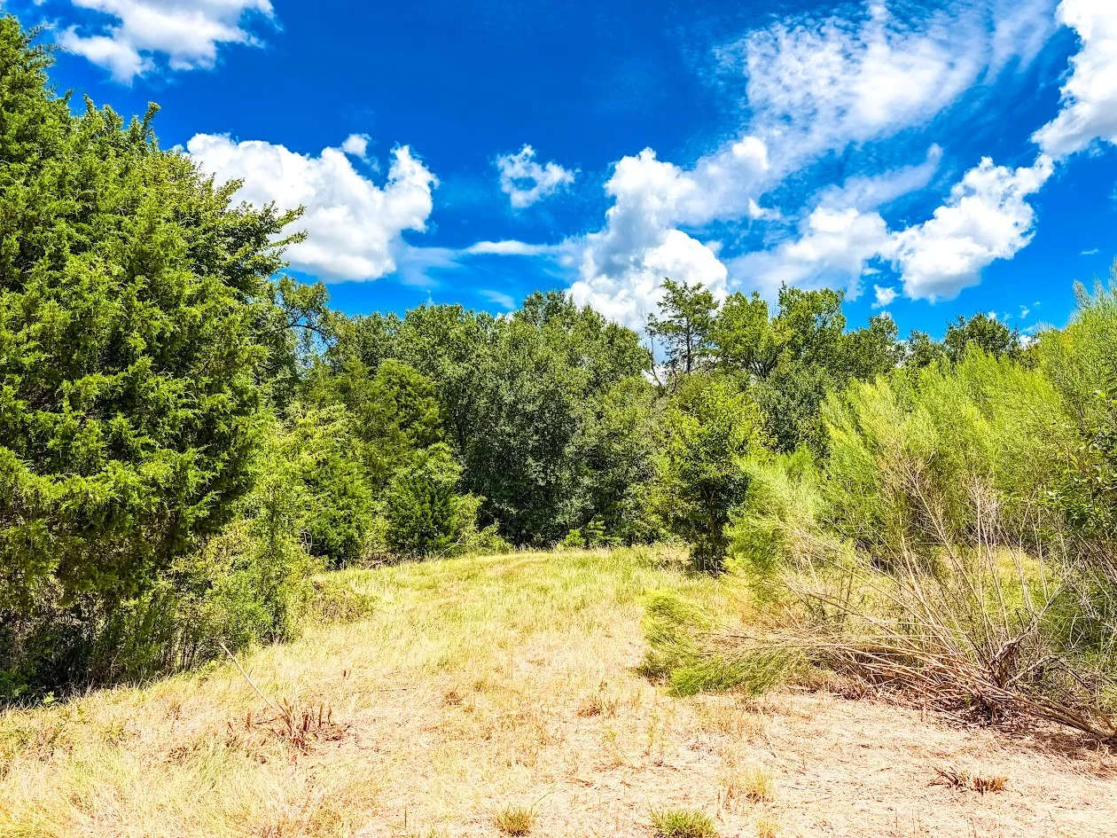 Unimproved Land For Sale in Freestone County , 0000 FCR 520, Fairfield, Texas 75840, 0, 0, Garage spaces, 0 Sqft, built in 0, Price $425,400, mls#21356058, Real Estate Agent in Fairfield, Homes For Sale in Freestone county, Homes For Sale in Fairfield, Realtor in Fairfield Texas, Real Estate Brokerage Independent Realty Texas, Luminita Cordes Realtor