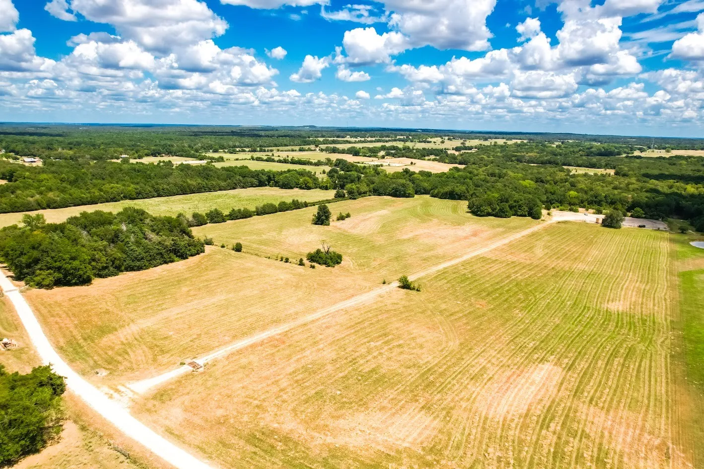 Unimproved Land For Sale in Freestone County , 0000 FCR 520, Fairfield, Texas 75840, 0, 0, Garage spaces, 0 Sqft, built in 0, Price $425,400, mls#21356058, Real Estate Agent in Fairfield, Homes For Sale in Freestone county, Homes For Sale in Fairfield, Realtor in Fairfield Texas, Real Estate Brokerage Independent Realty Texas, Luminita Cordes Realtor