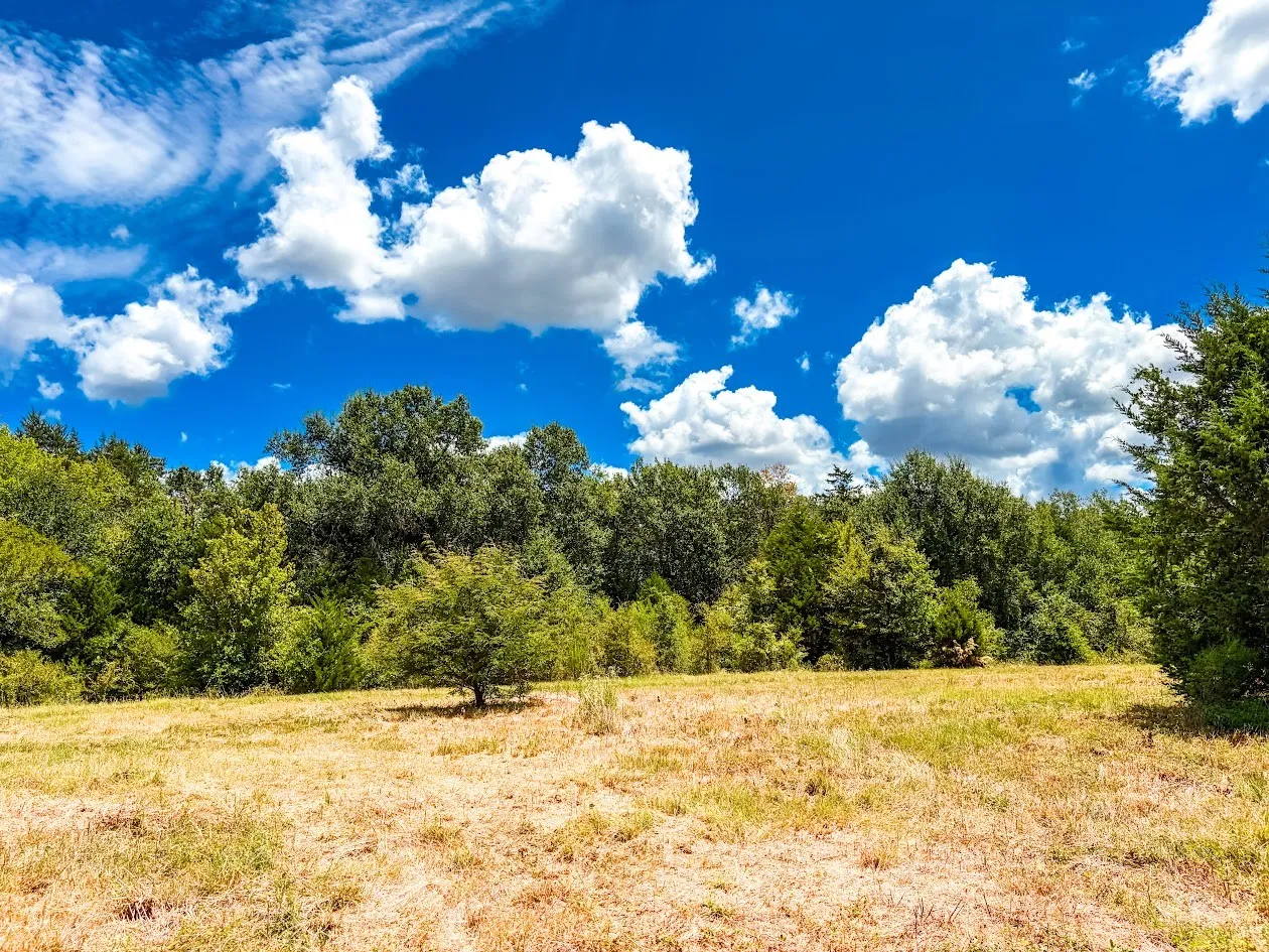 Unimproved Land For Sale in Freestone County , 0000 FCR 520, Fairfield, Texas 75840, 0, 0, Garage spaces, 0 Sqft, built in 0, Price $425,400, mls#21356058, Real Estate Agent in Fairfield, Homes For Sale in Freestone county, Homes For Sale in Fairfield, Realtor in Fairfield Texas, Real Estate Brokerage Independent Realty Texas, Luminita Cordes Realtor