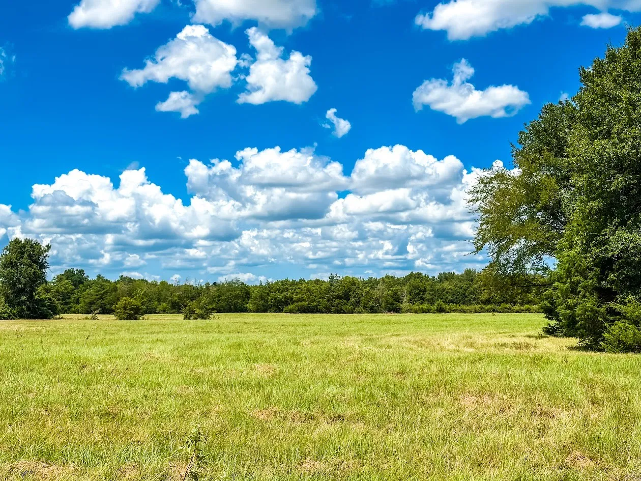 Unimproved Land For Sale in Freestone County , 0000 FCR 520, Fairfield, Texas 75840, 0, 0, Garage spaces, 0 Sqft, built in 0, Price $425,400, mls#21356058, Real Estate Agent in Fairfield, Homes For Sale in Freestone county, Homes For Sale in Fairfield, Realtor in Fairfield Texas, Real Estate Brokerage Independent Realty Texas, Luminita Cordes Realtor