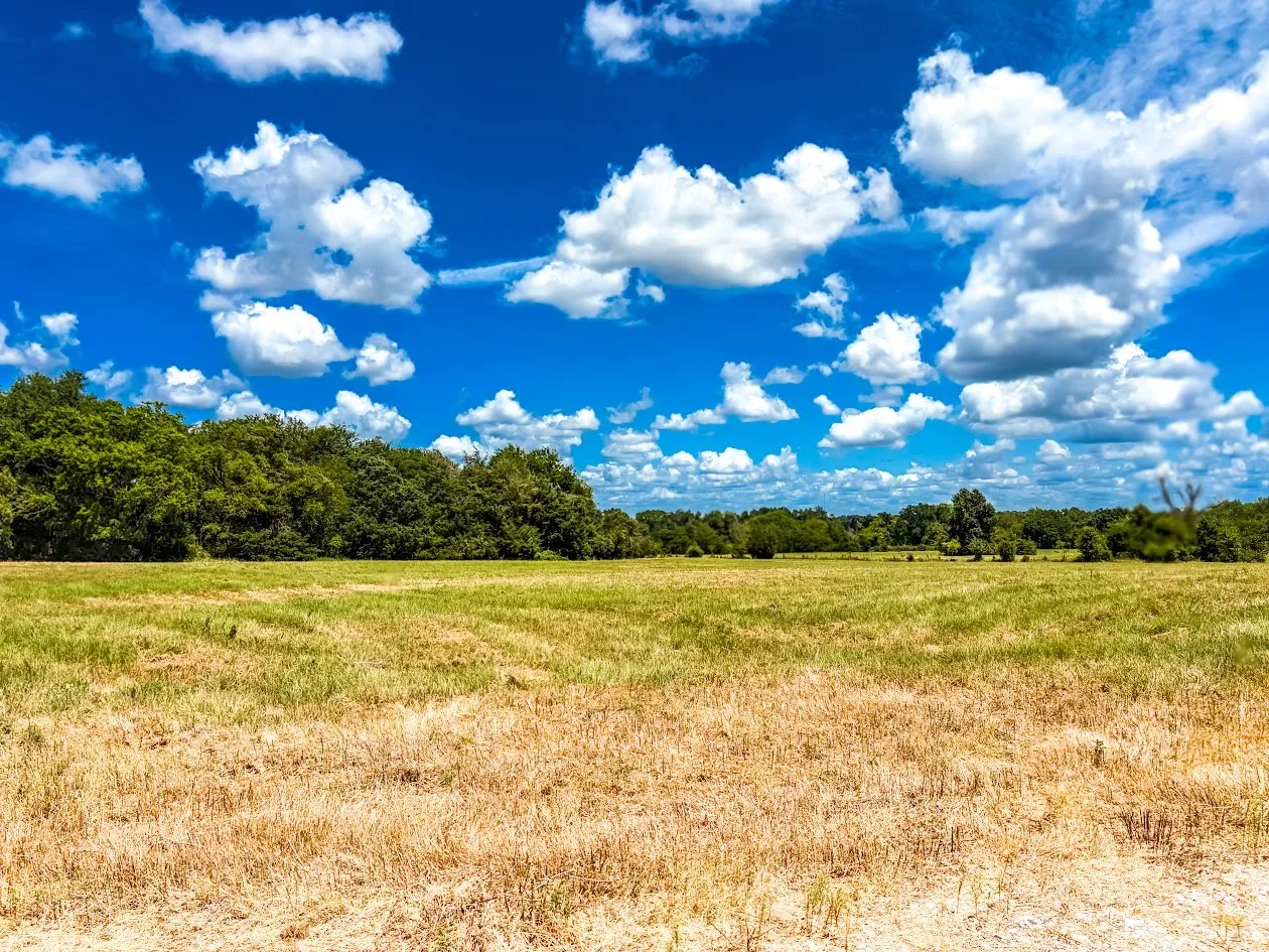 Unimproved Land For Sale in Freestone County , 0000 FCR 520, Fairfield, Texas 75840, 0, 0, Garage spaces, 0 Sqft, built in 0, Price $425,400, mls#21356058, Real Estate Agent in Fairfield, Homes For Sale in Freestone county, Homes For Sale in Fairfield, Realtor in Fairfield Texas, Real Estate Brokerage Independent Realty Texas, Luminita Cordes Realtor