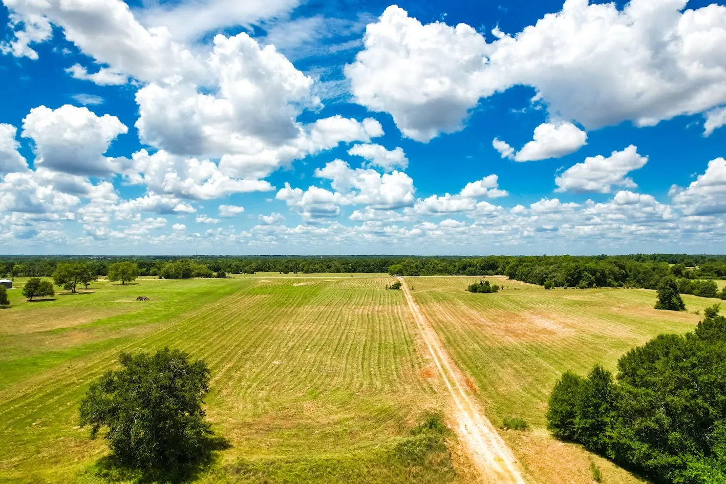 Unimproved Land For Sale in Freestone County , 0000 FCR 520, Fairfield, Texas 75840, 0, 0, Garage spaces, 0 Sqft, built in 0, Price $425,400, mls#21356058, Real Estate Agent in Fairfield, Homes For Sale in Freestone county, Homes For Sale in Fairfield, Realtor in Fairfield Texas, Real Estate Brokerage Independent Realty Texas, Luminita Cordes Realtor