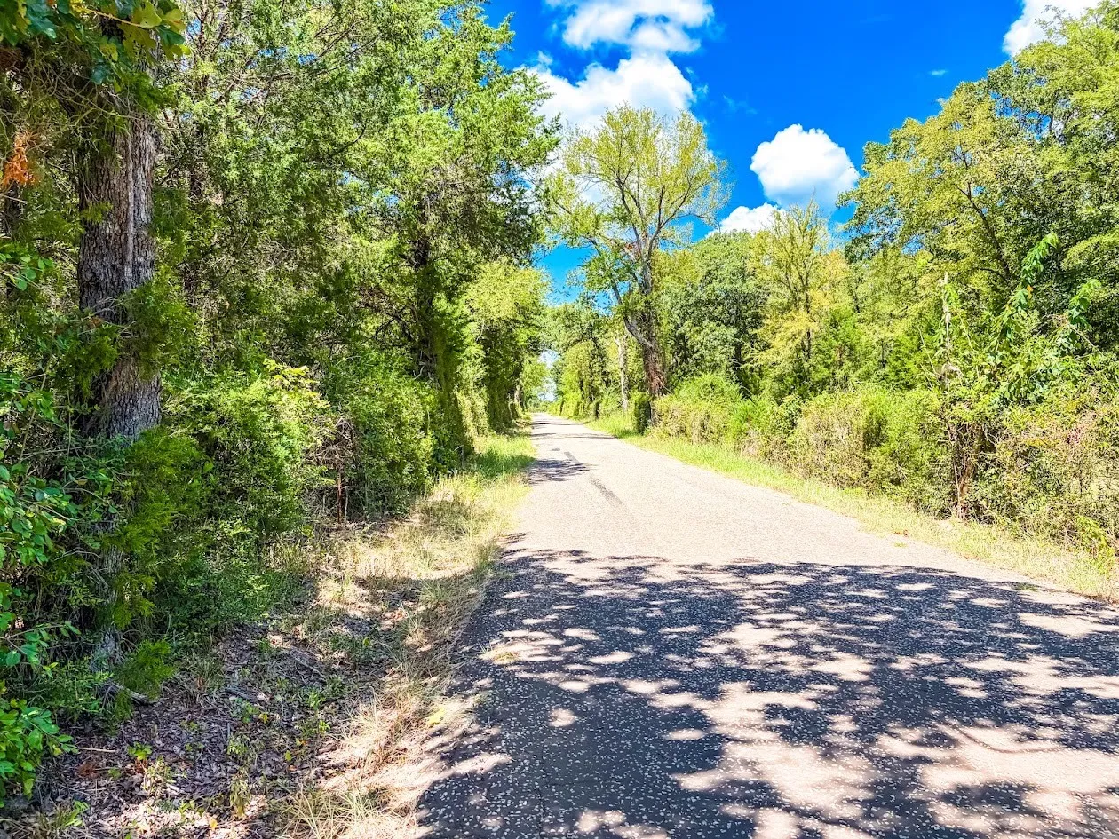 Unimproved Land For Sale in Freestone County , 0000 FCR 520, Fairfield, Texas 75840, 0, 0, Garage spaces, 0 Sqft, built in 0, Price $425,400, mls#21356058, Real Estate Agent in Fairfield, Homes For Sale in Freestone county, Homes For Sale in Fairfield, Realtor in Fairfield Texas, Real Estate Brokerage Independent Realty Texas, Luminita Cordes Realtor