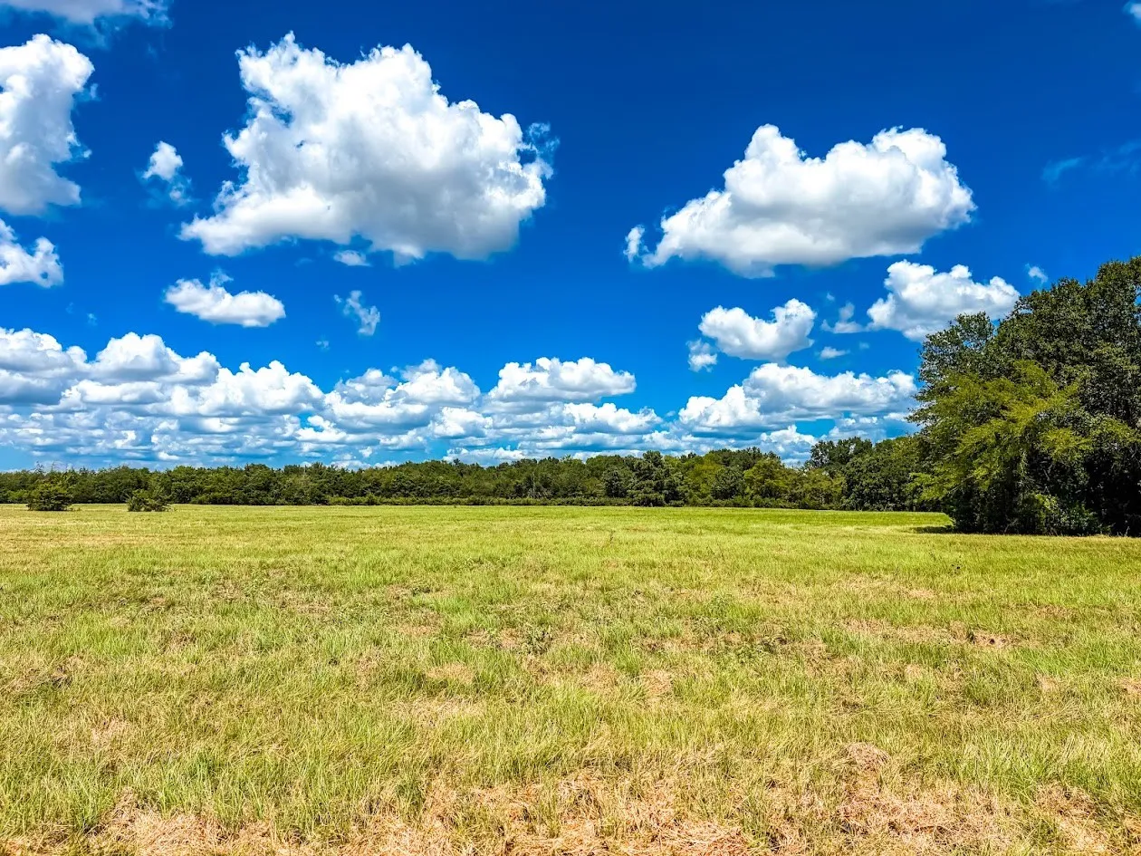 Unimproved Land For Sale in Freestone County , 0000 FCR 520, Fairfield, Texas 75840, 0, 0, Garage spaces, 0 Sqft, built in 0, Price $425,400, mls#21356058, Real Estate Agent in Fairfield, Homes For Sale in Freestone county, Homes For Sale in Fairfield, Realtor in Fairfield Texas, Real Estate Brokerage Independent Realty Texas, Luminita Cordes Realtor