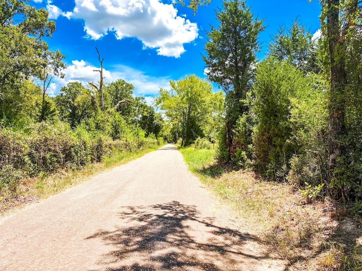 Unimproved Land For Sale in Freestone County , 0000 FCR 520, Fairfield, Texas 75840, 0, 0, Garage spaces, 0 Sqft, built in 0, Price $425,400, mls#21356058, Real Estate Agent in Fairfield, Homes For Sale in Freestone county, Homes For Sale in Fairfield, Realtor in Fairfield Texas, Real Estate Brokerage Independent Realty Texas, Luminita Cordes Realtor