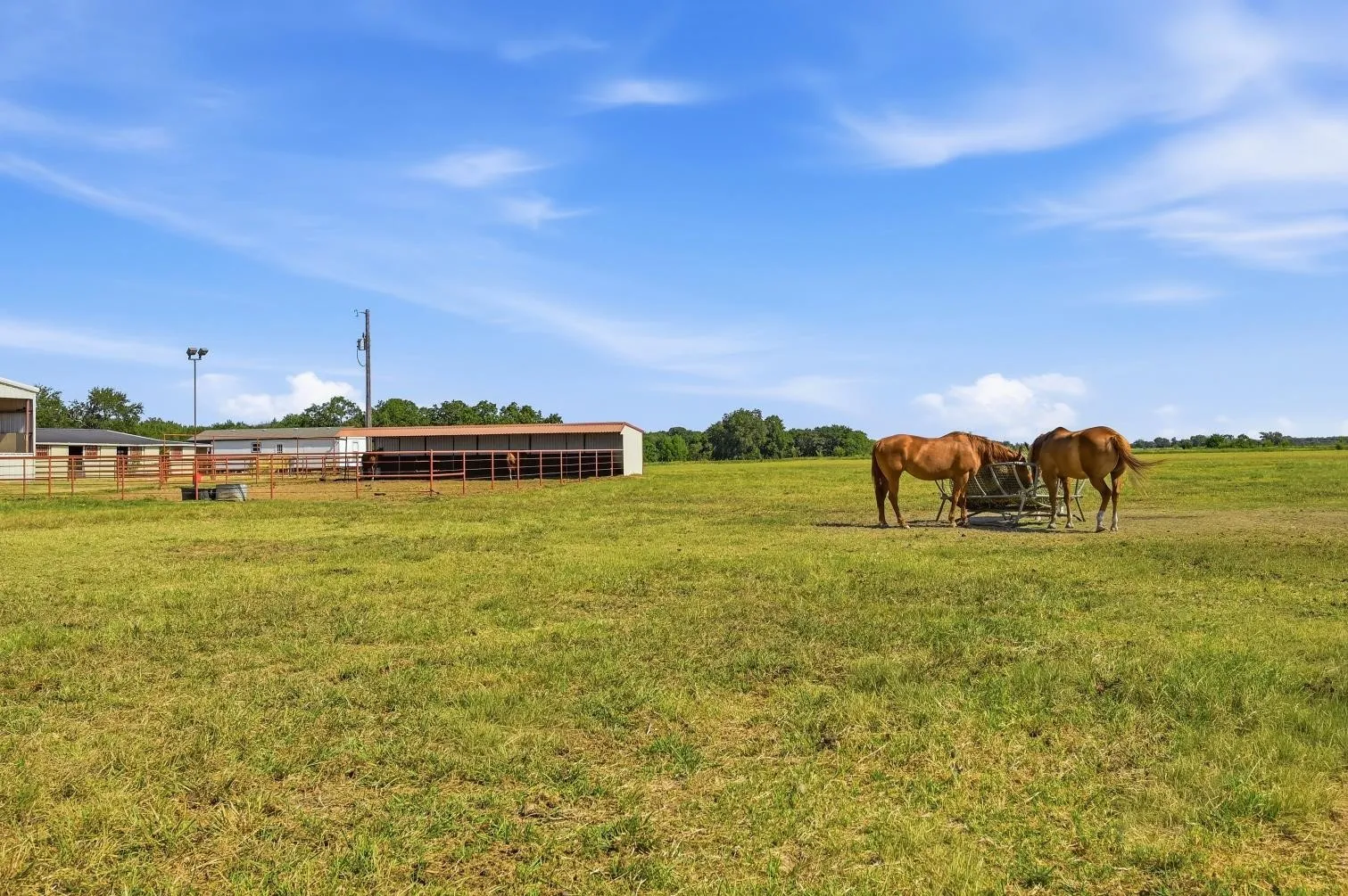 Expansive green pasture with a metal-roofed barn structure and fencing