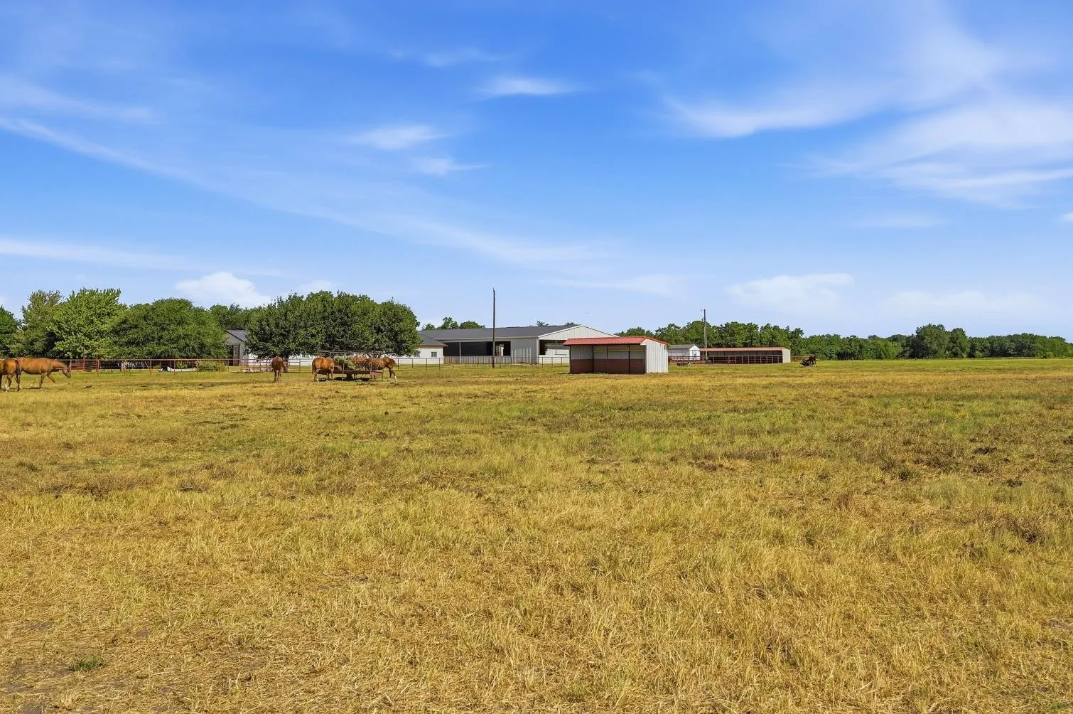 Expansive open field with multiple outbuildings and distant tree lines