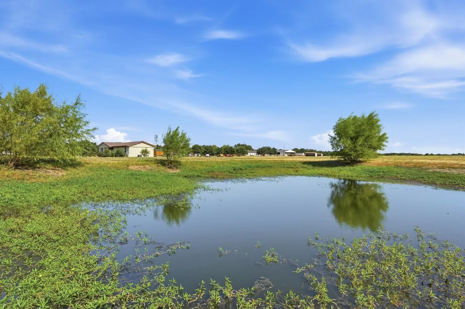 Additional content